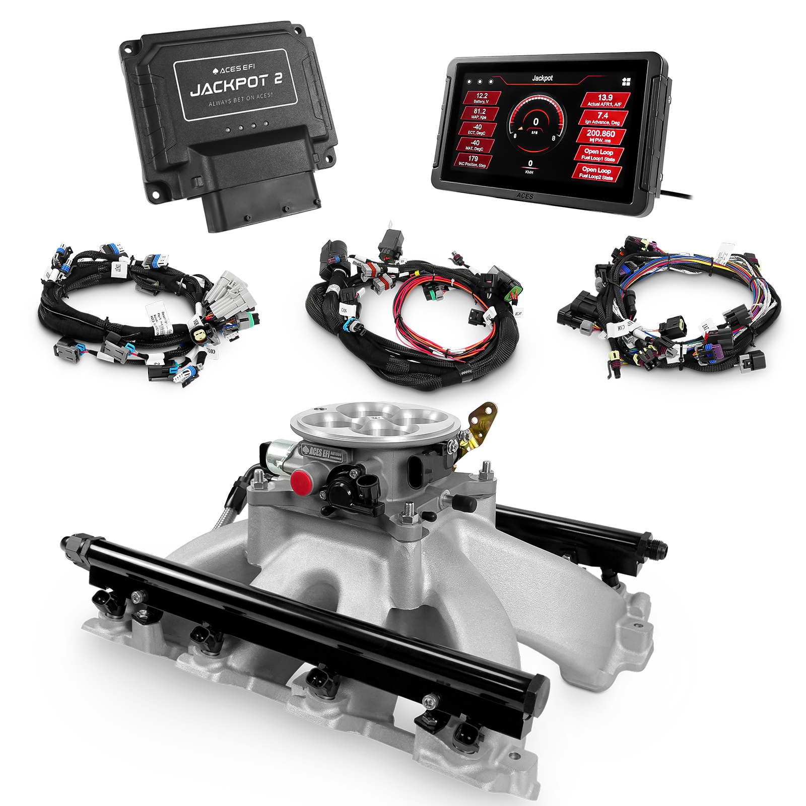 Jackpot LS EFI System - Top End Kit (800 HP)