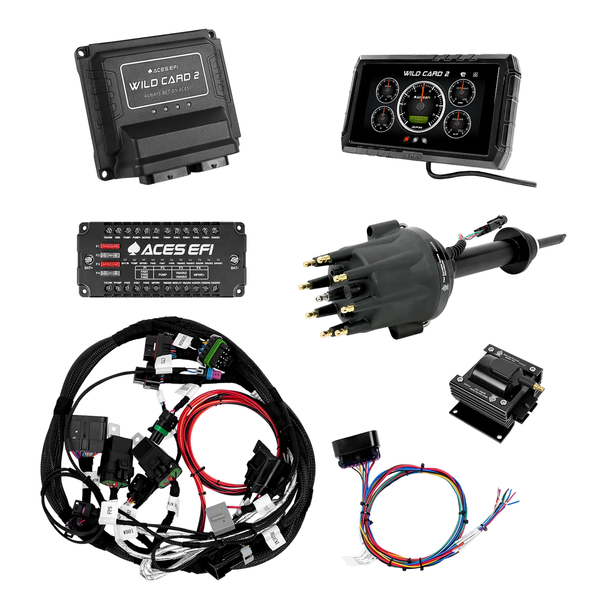 Wild Card 2 Sequential EFI (Standalone)