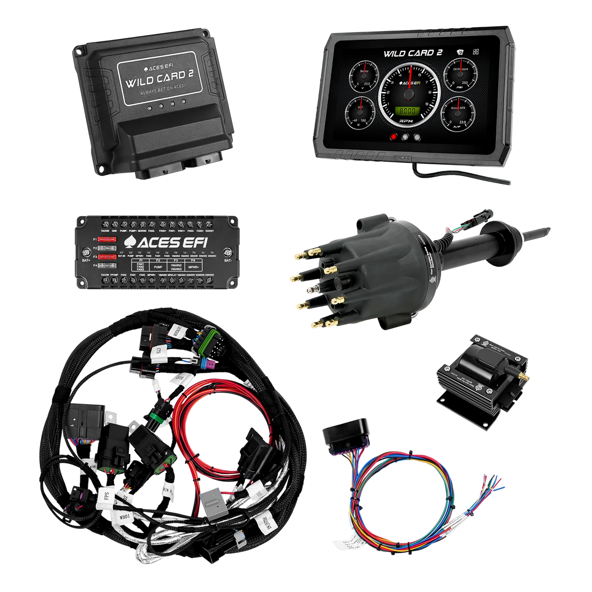 Wild Card 2 Sequential EFI (Standalone)