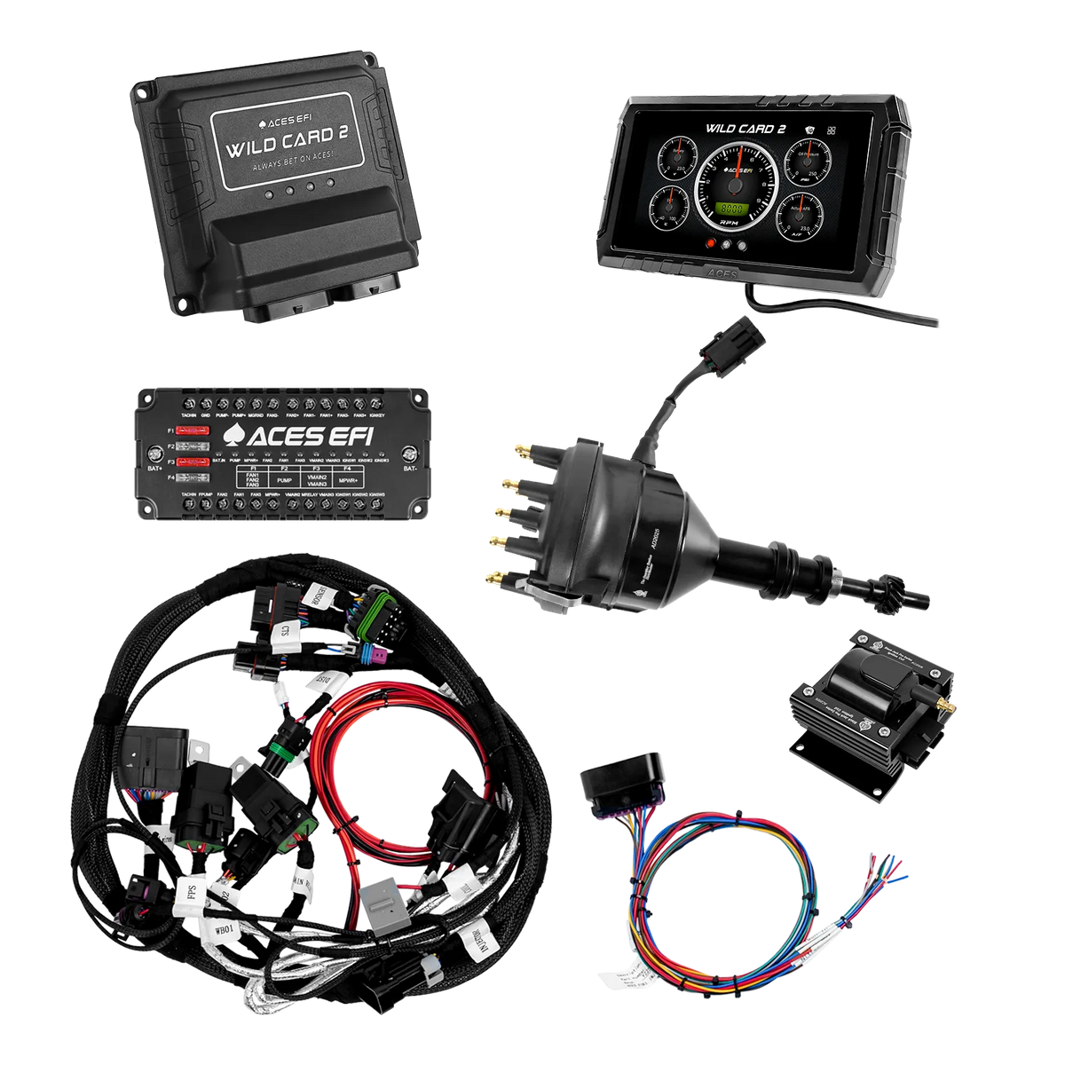 Wild Card 2 Sequential EFI (Standalone)