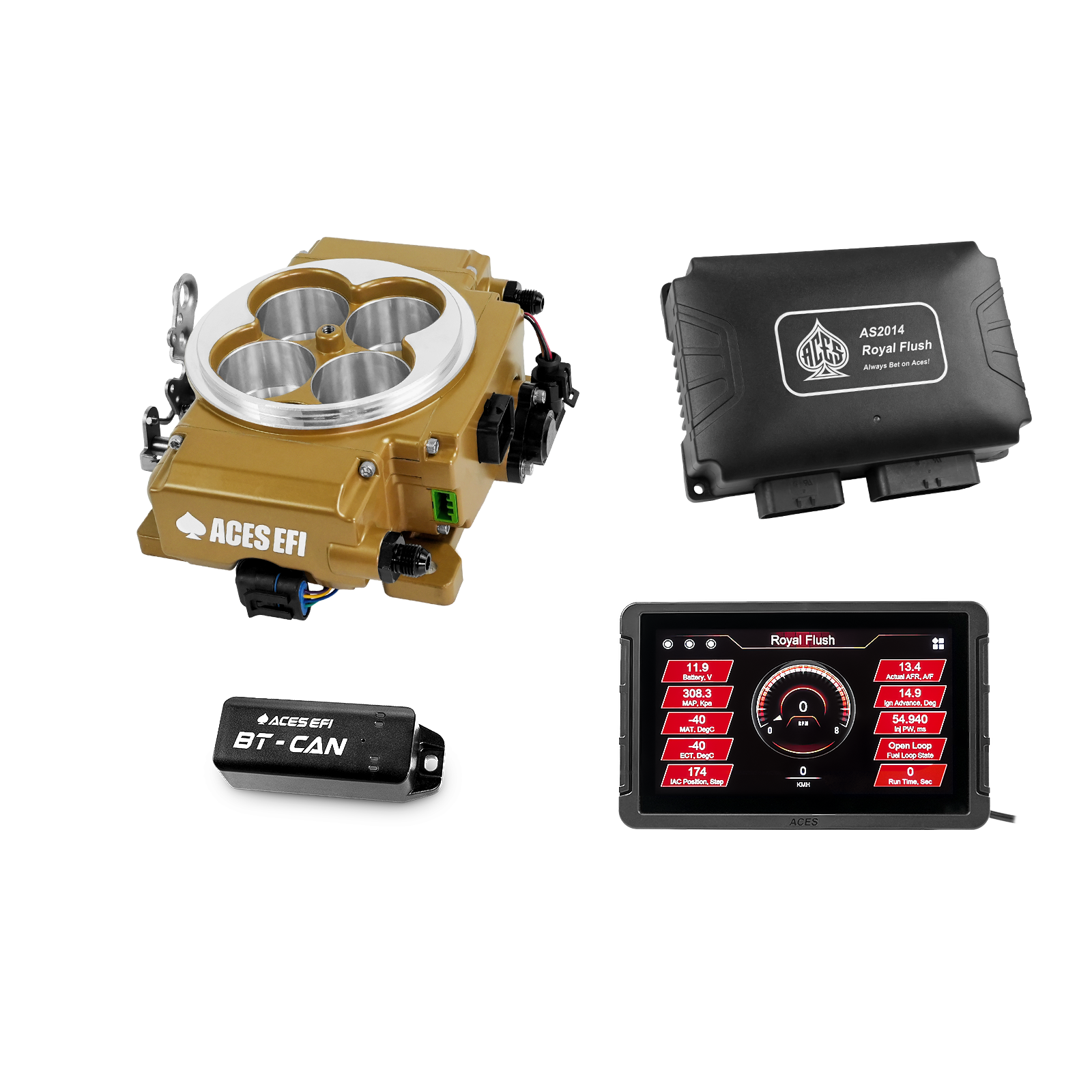 Royal Flush EFI/CDI