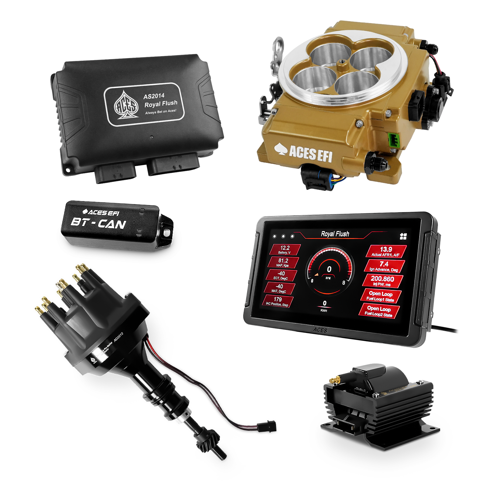 Royal Flush Top End Kits