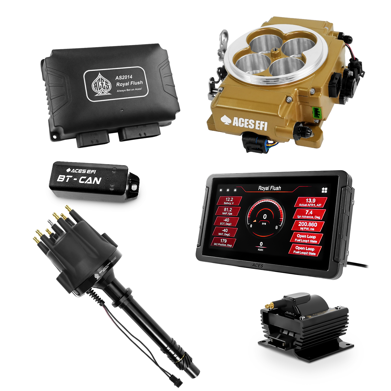 Royal Flush Top End Kits