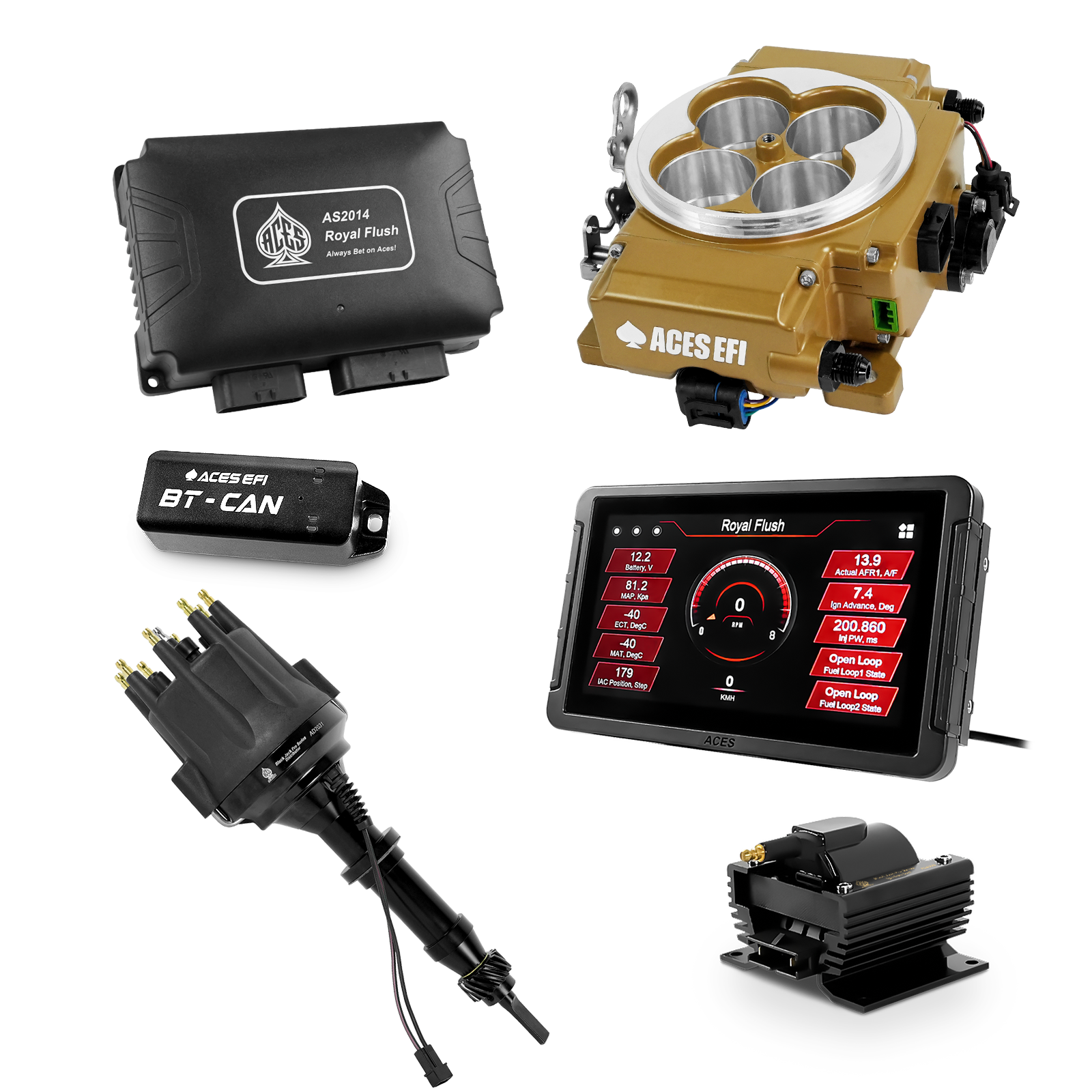 Royal Flush Top End Kits