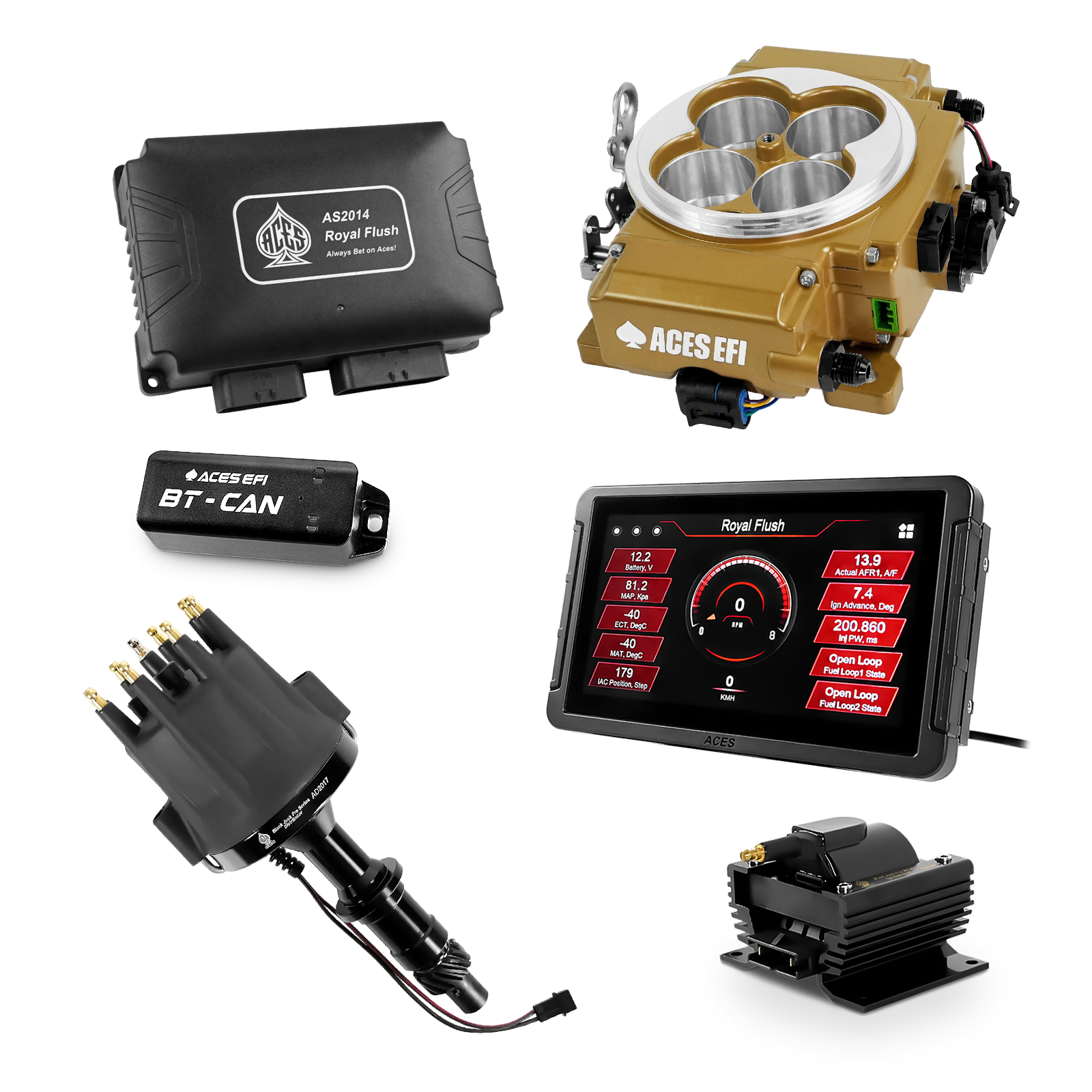 Royal Flush Top End Kits