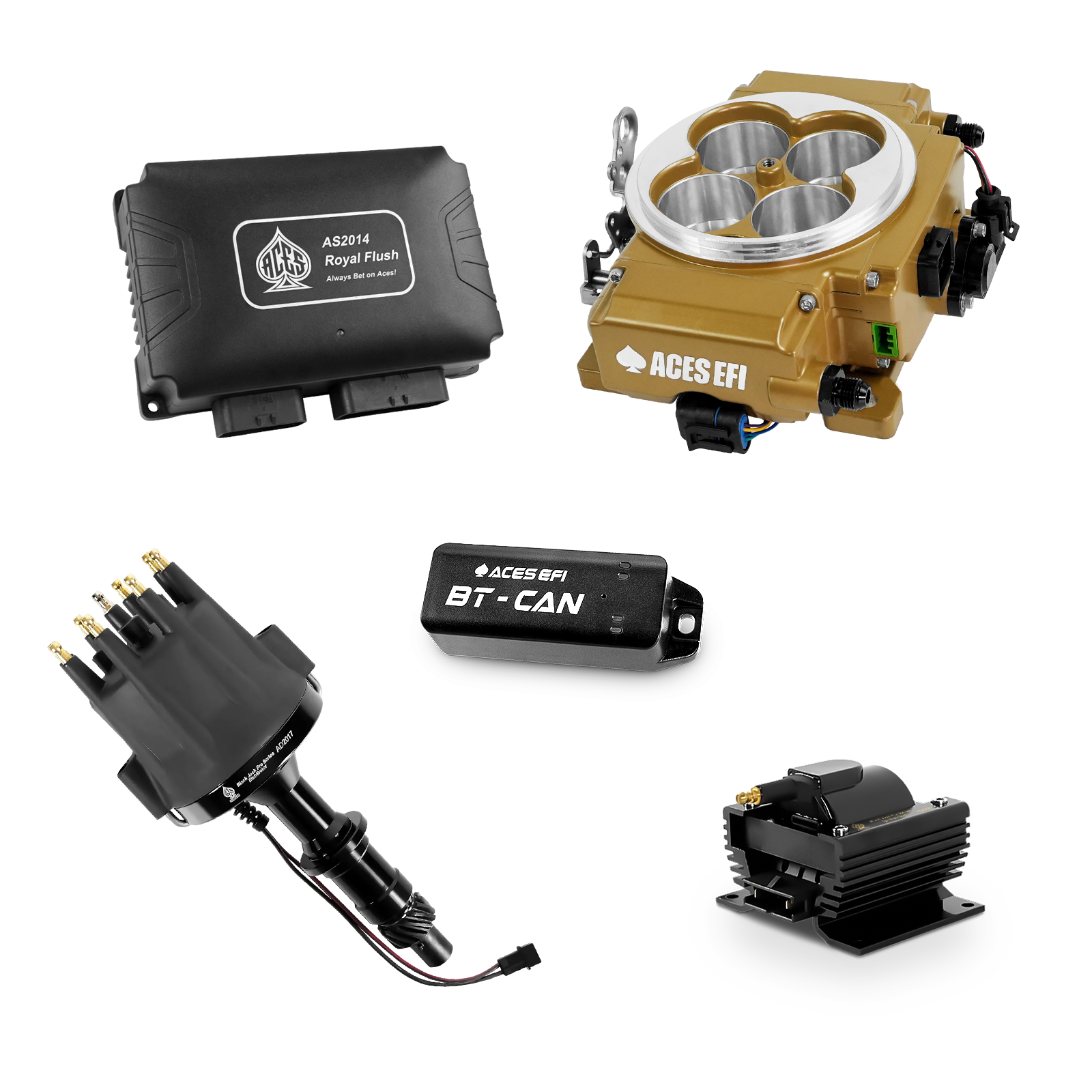 Royal Flush Top End Kits