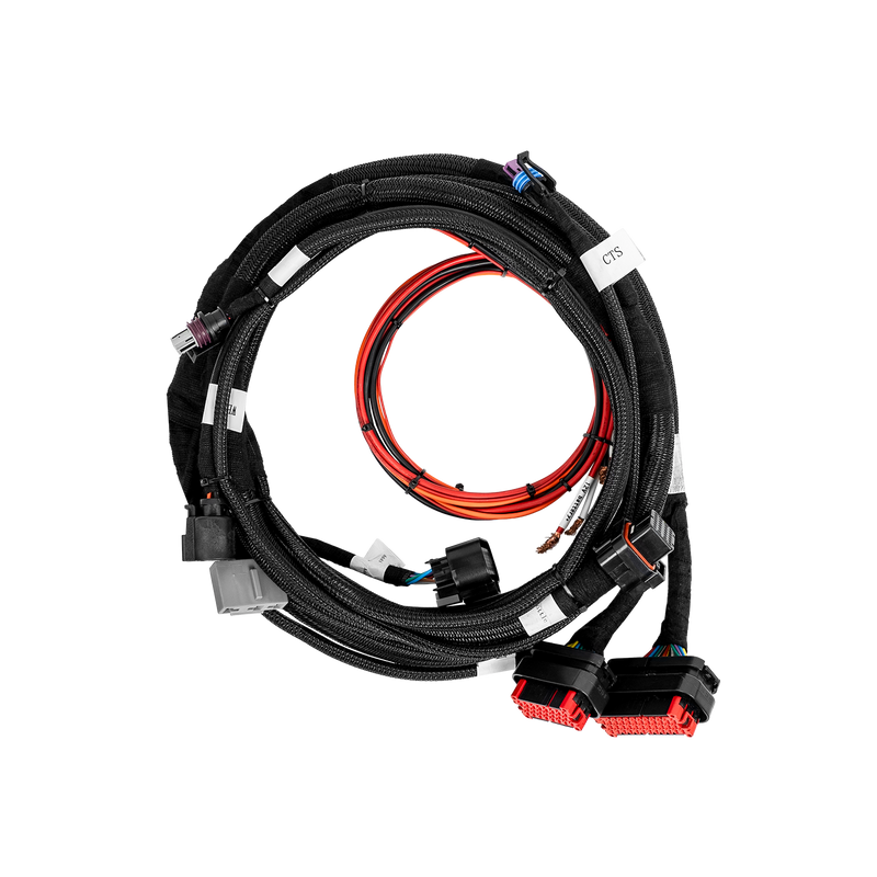 Royal Flush 2 Main Harness (x1)