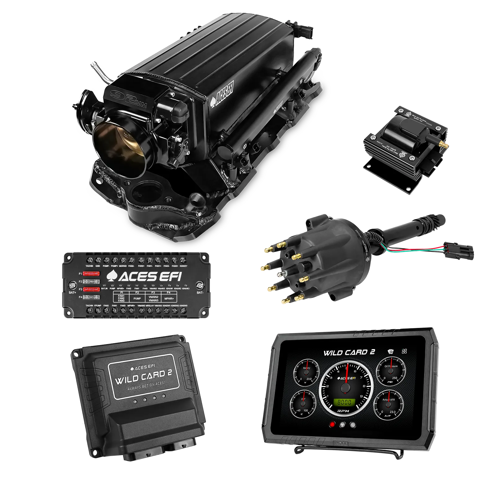 Wild Card 2 EFI - Top End Kits