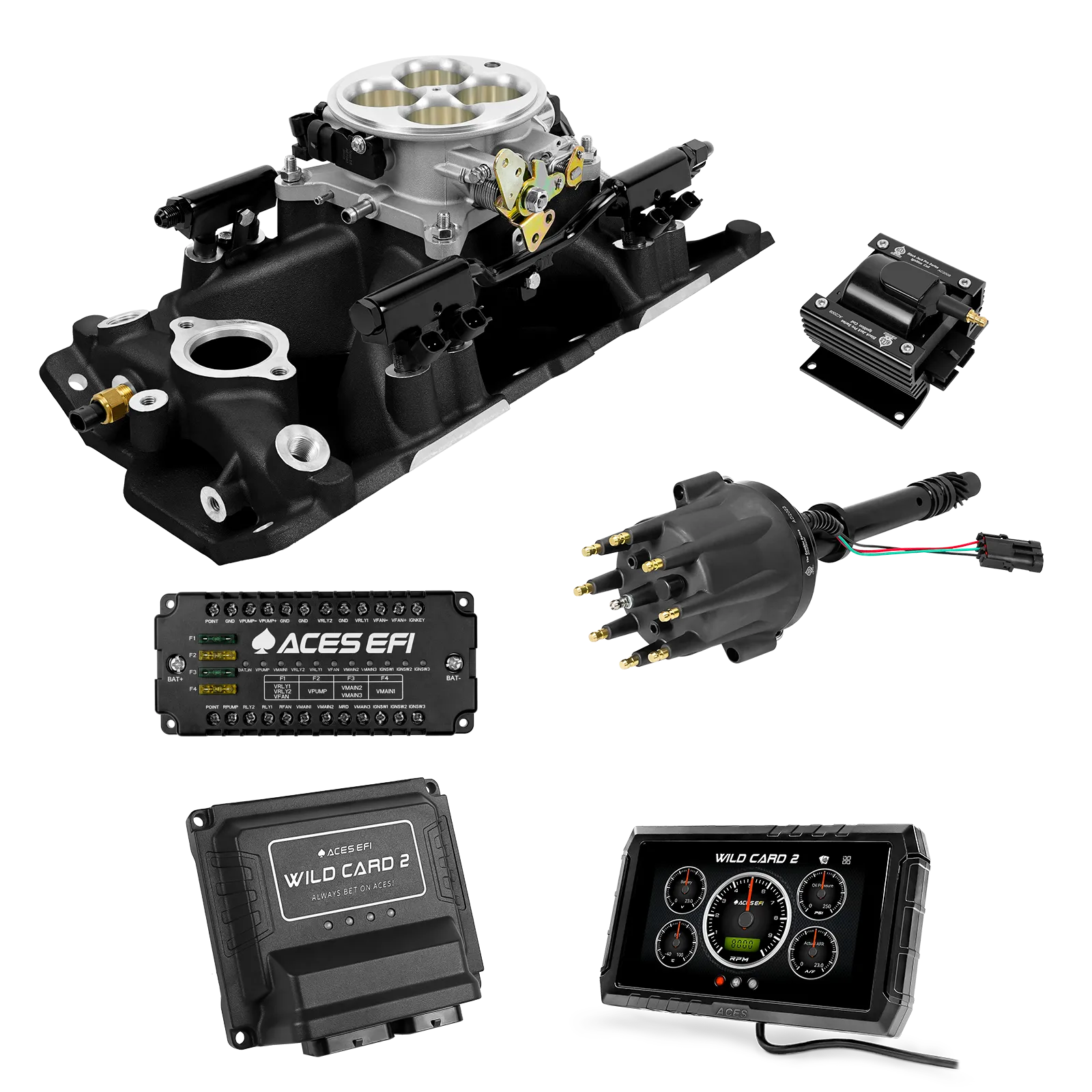 Kits de gama alta Wild Card 2 EFI