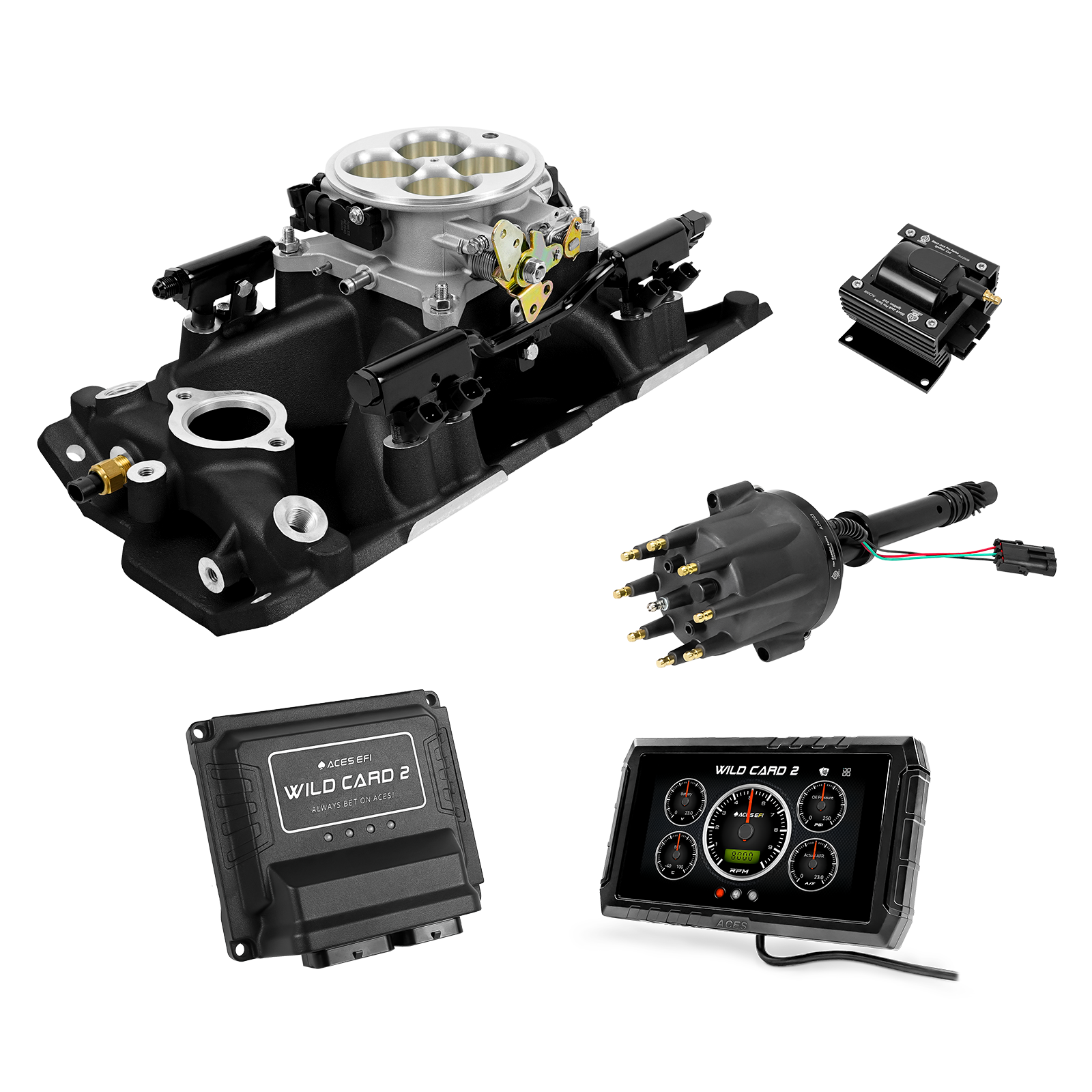 Wild Card EFI - Top End Kits