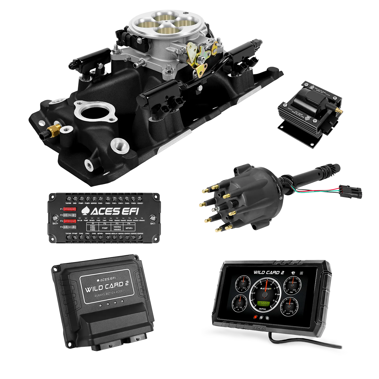 Wild Card 2 EFI - Top End Kits