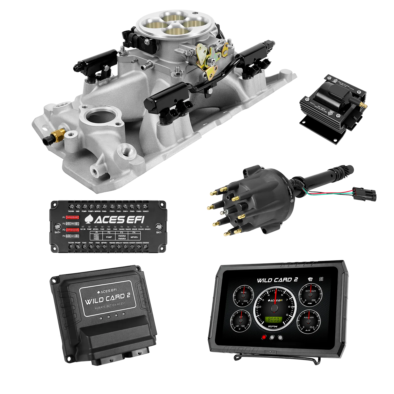 Wild Card 2 EFI - Top End Kits