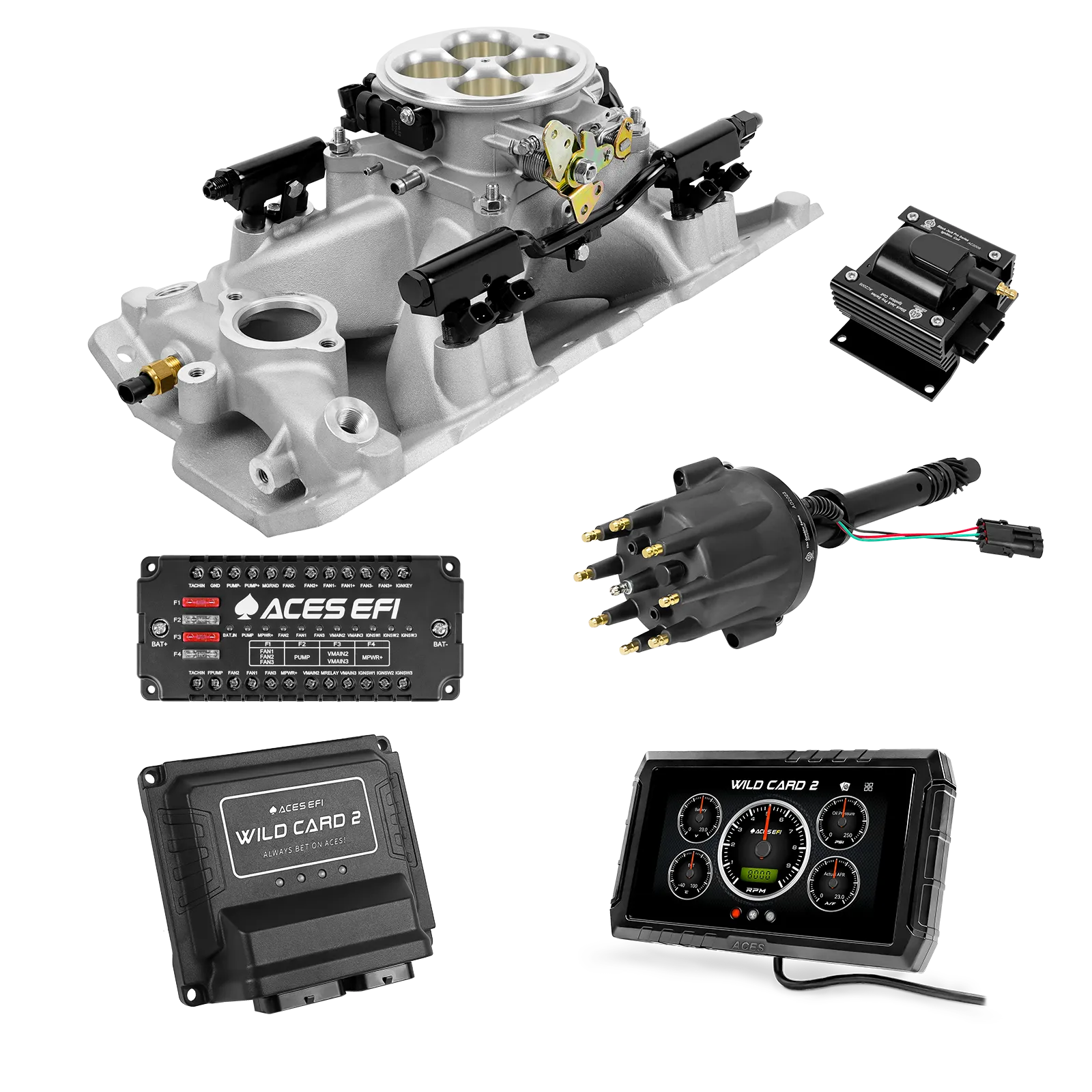 Wild Card 2 EFI - Top End Kits