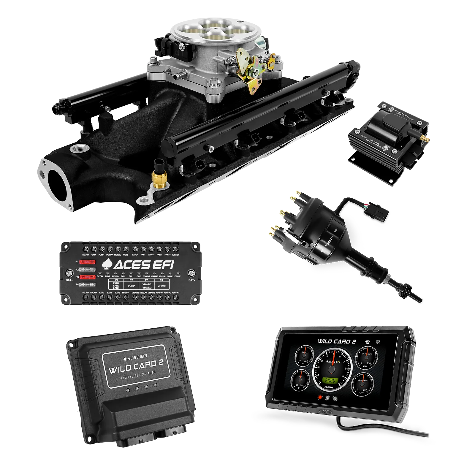 Wild Card 2 EFI - Top End Kits
