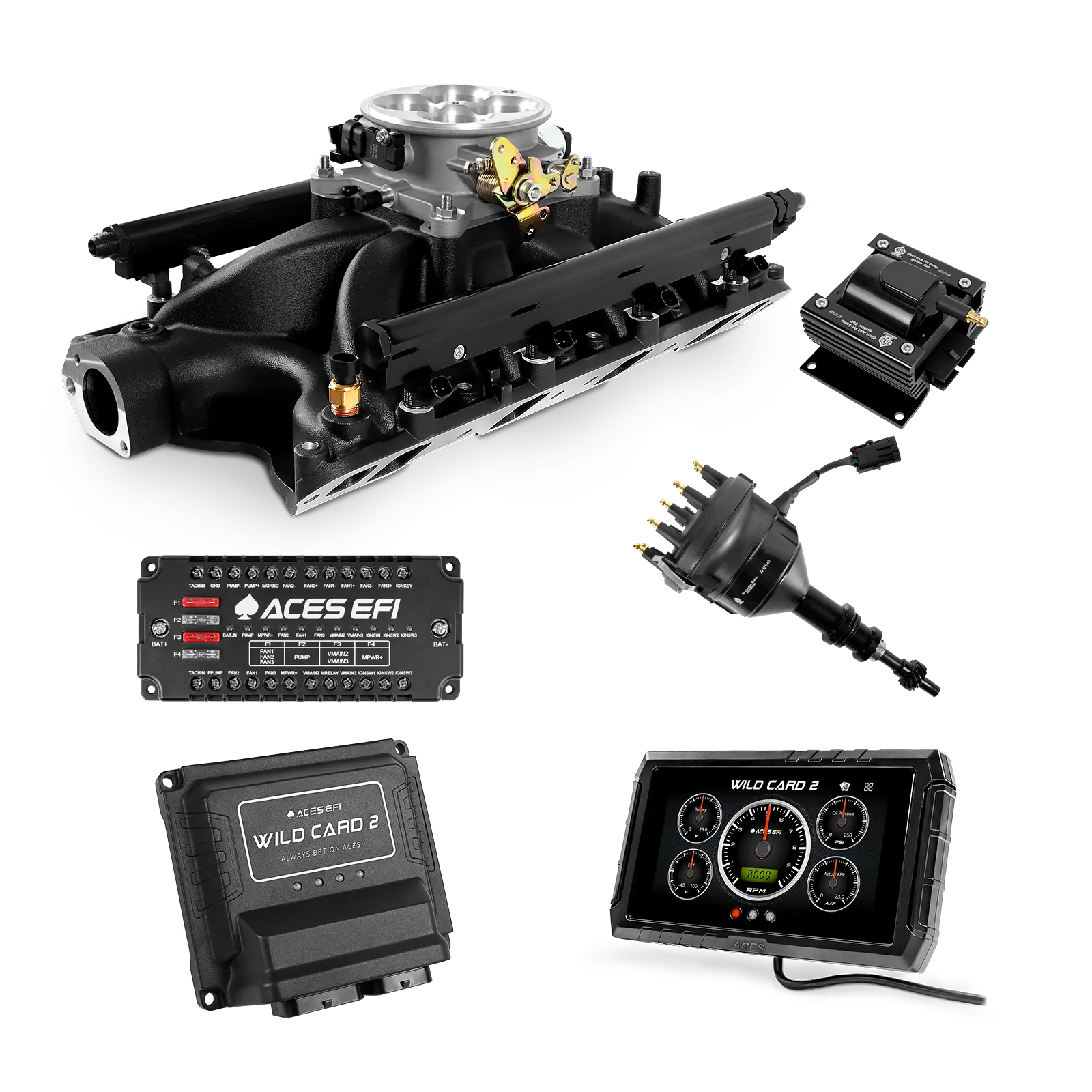 Wild Card 2 EFI - Top End Kits
