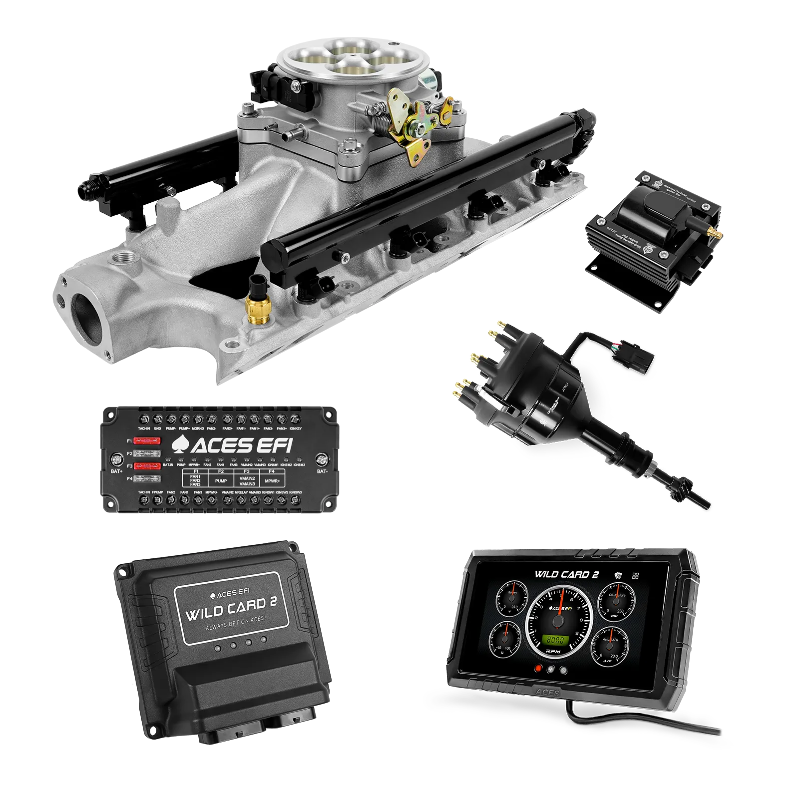 Wild Card 2 EFI - Top End Kits