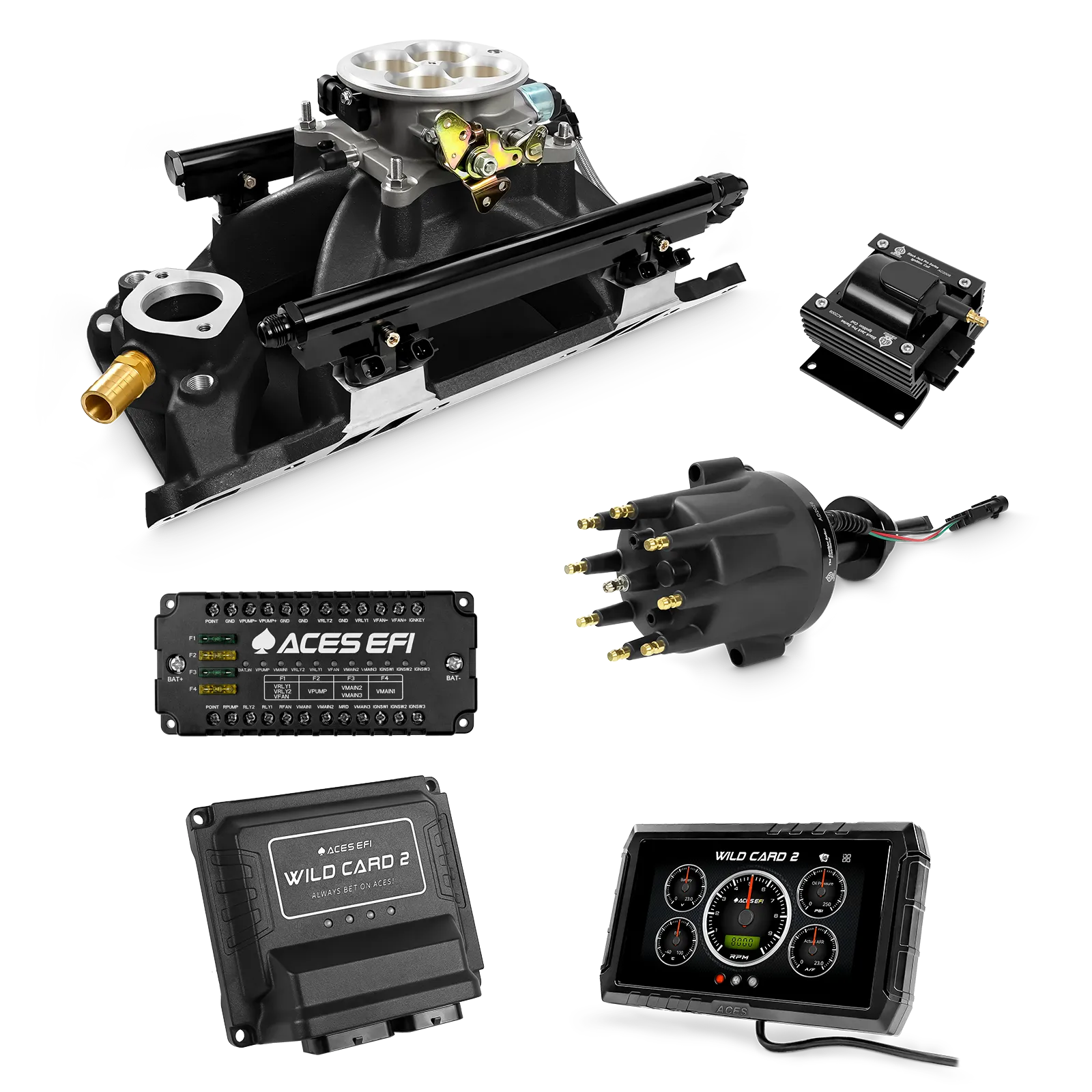 Kits de gama alta Wild Card 2 EFI