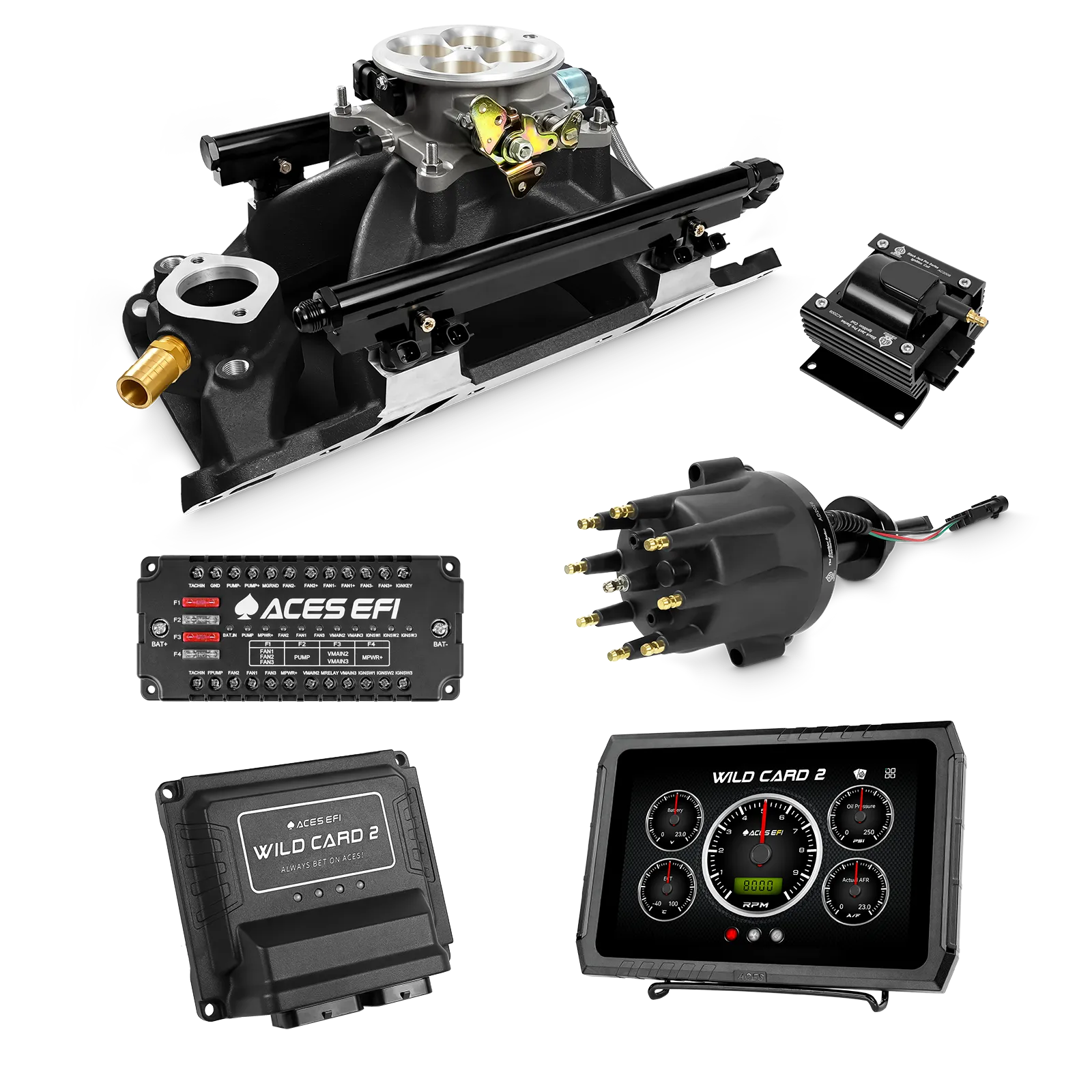 Wild Card 2 EFI - Top End Kits
