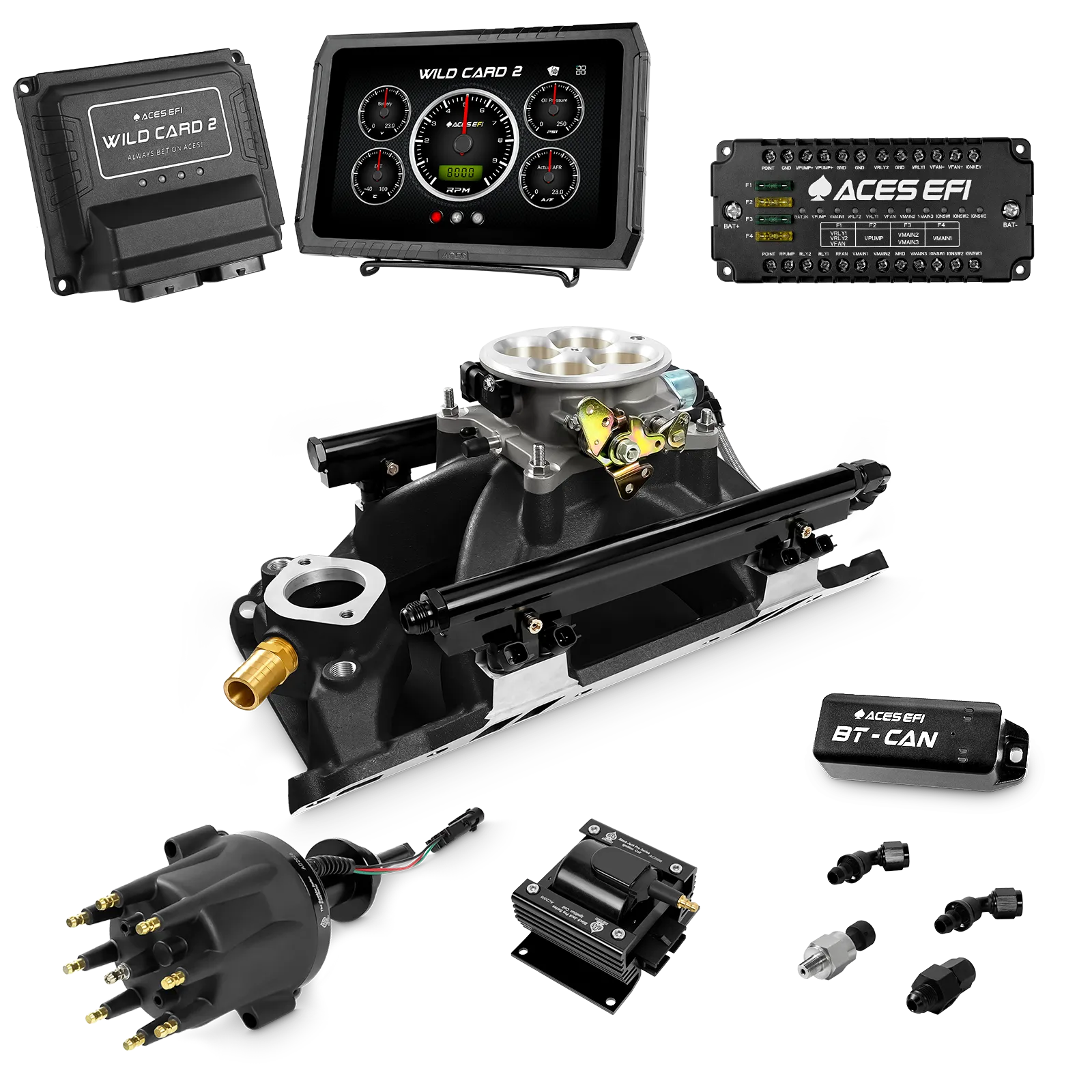 Wild Card 2 EFI Super Kit
