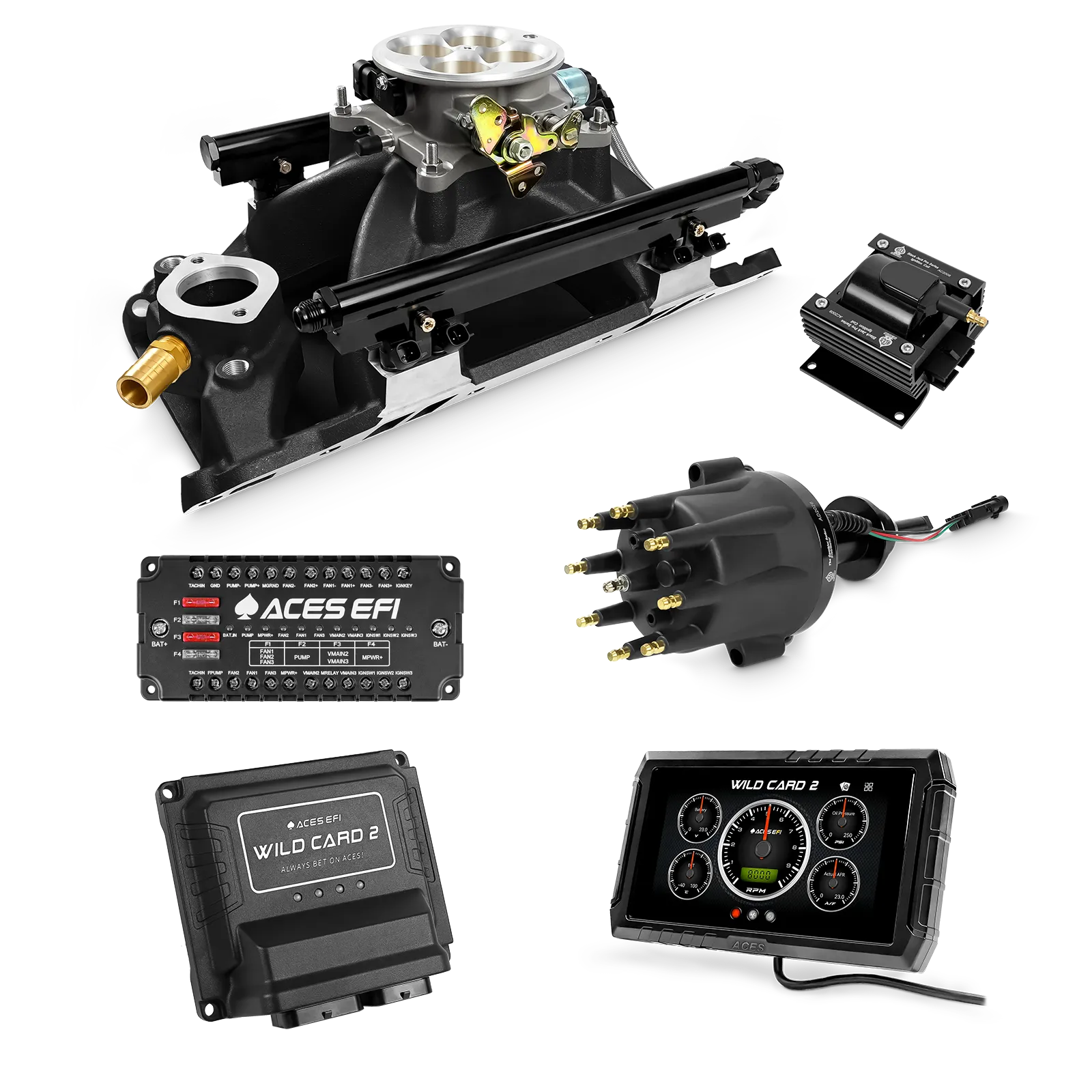 Wild Card 2 EFI - Top End Kits