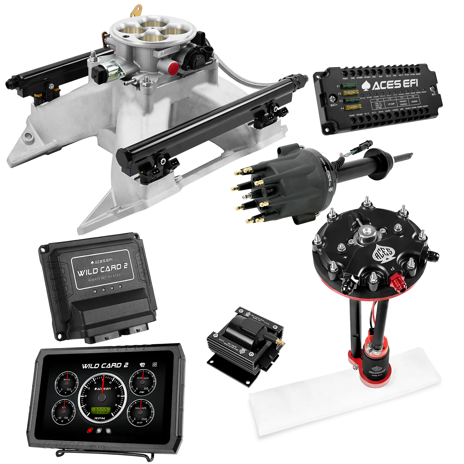 Kits maestros EFI secuenciales Wild Card 2 (500 CV)