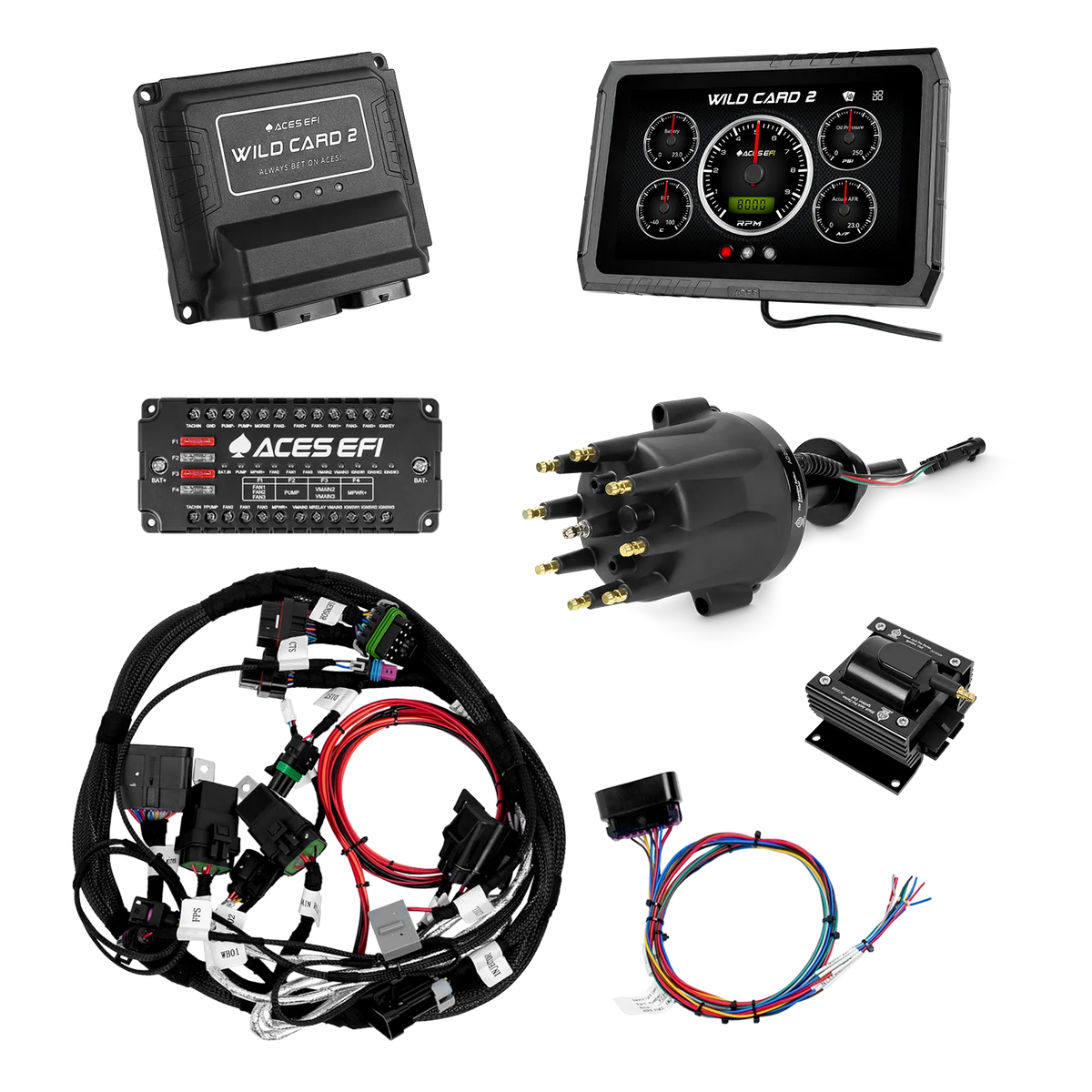 Wild Card 2 Sequential EFI (Standalone)