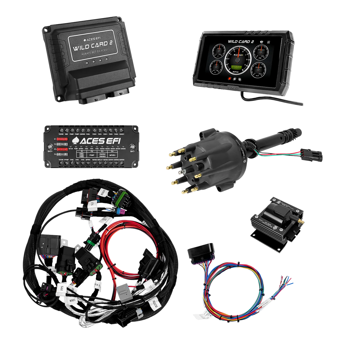 Wild Card 2 Sequential EFI (Standalone)