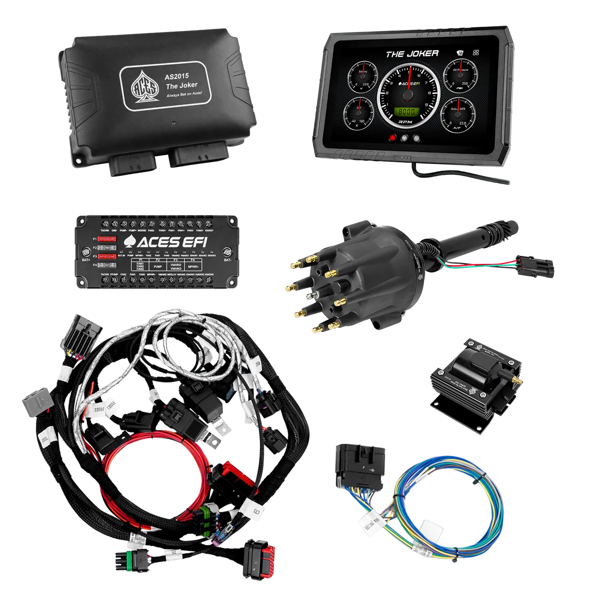 Joker EFI (Autoconclusivo)