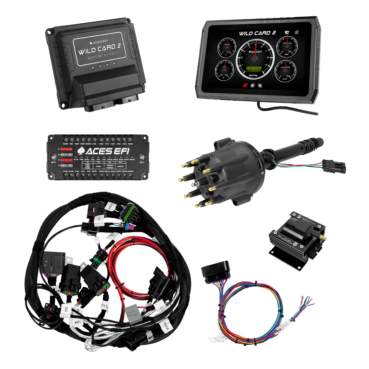 Wild Card 2 Sequential EFI (Standalone)