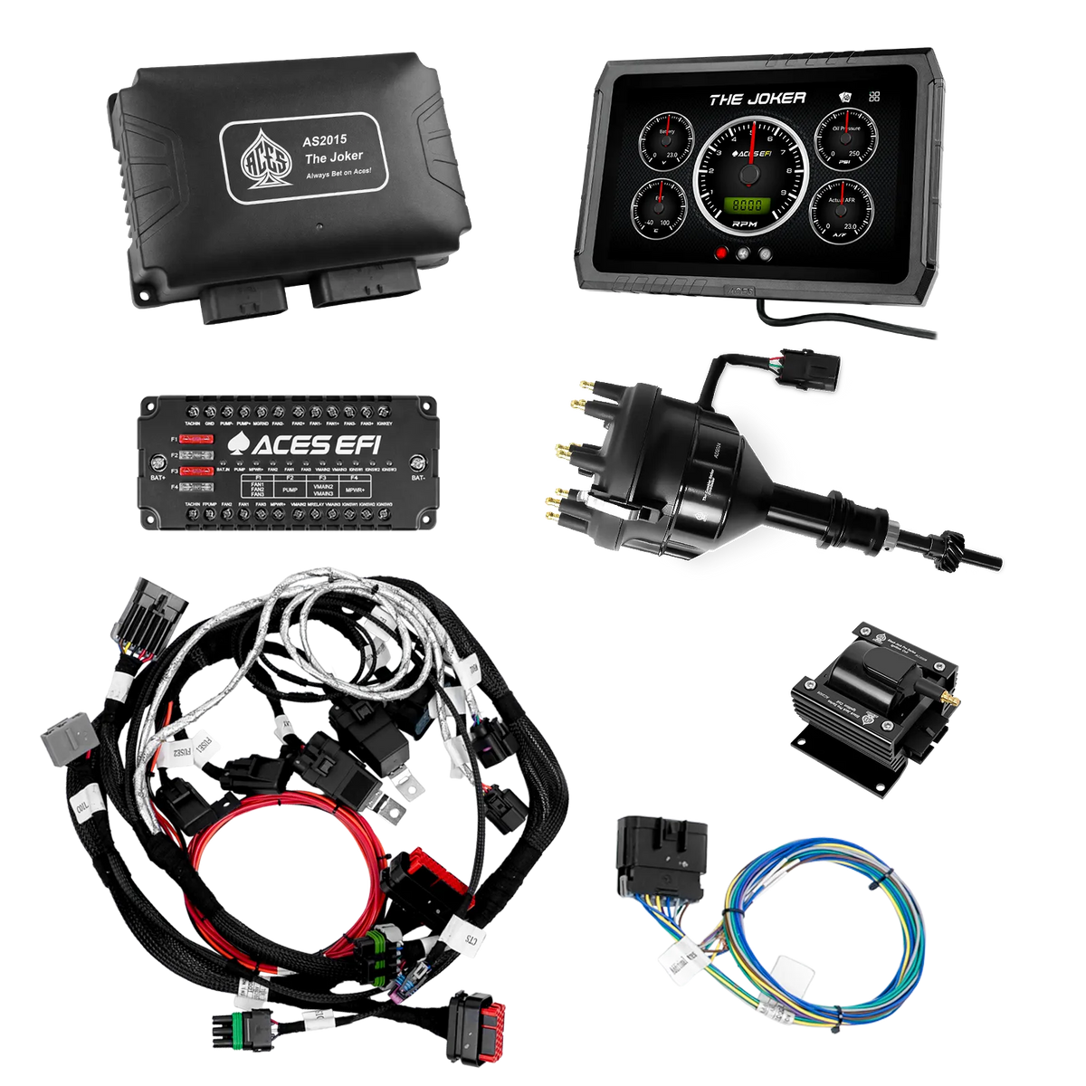 Joker EFI (Autoconclusivo)