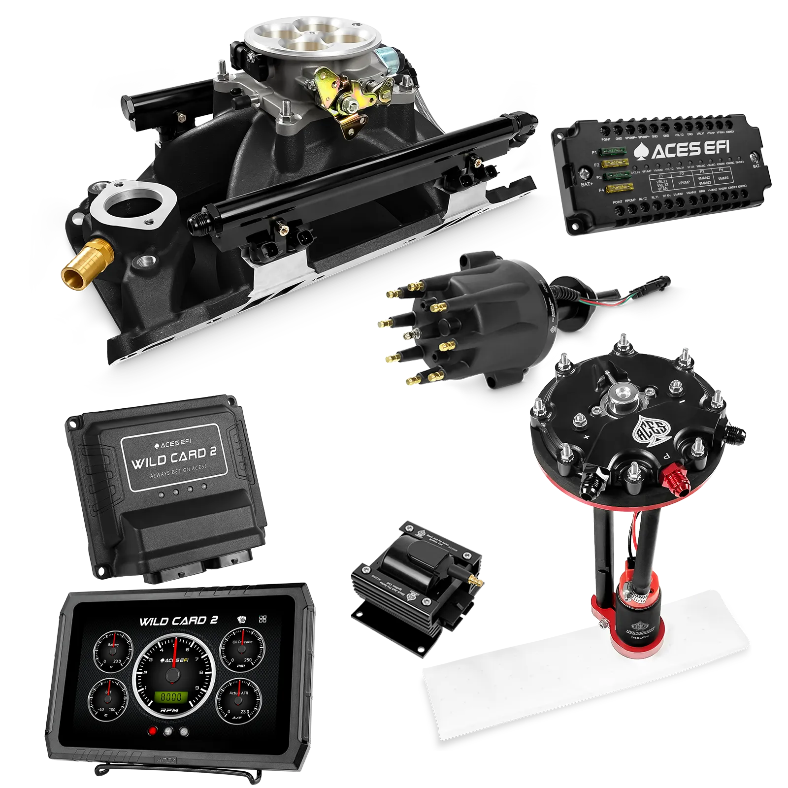 Kits maestros EFI secuenciales Wild Card 2 (500 CV)