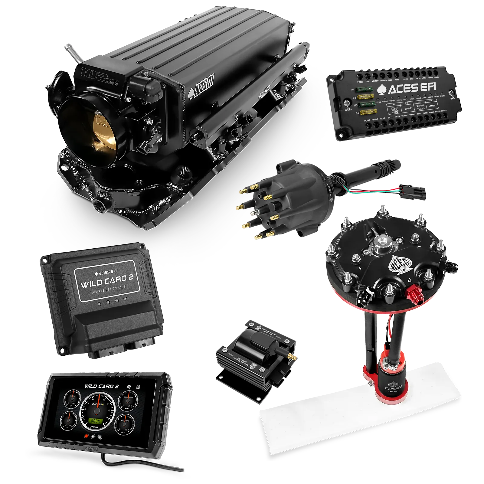 Kits maestros EFI secuenciales Wild Card 2 (800 CV)