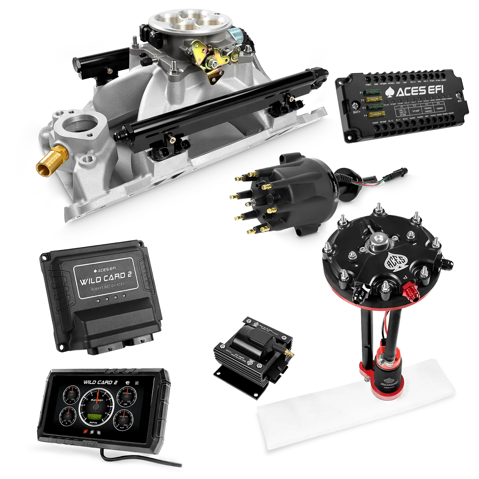 Kits maestros EFI secuenciales Wild Card 2 (800 CV)