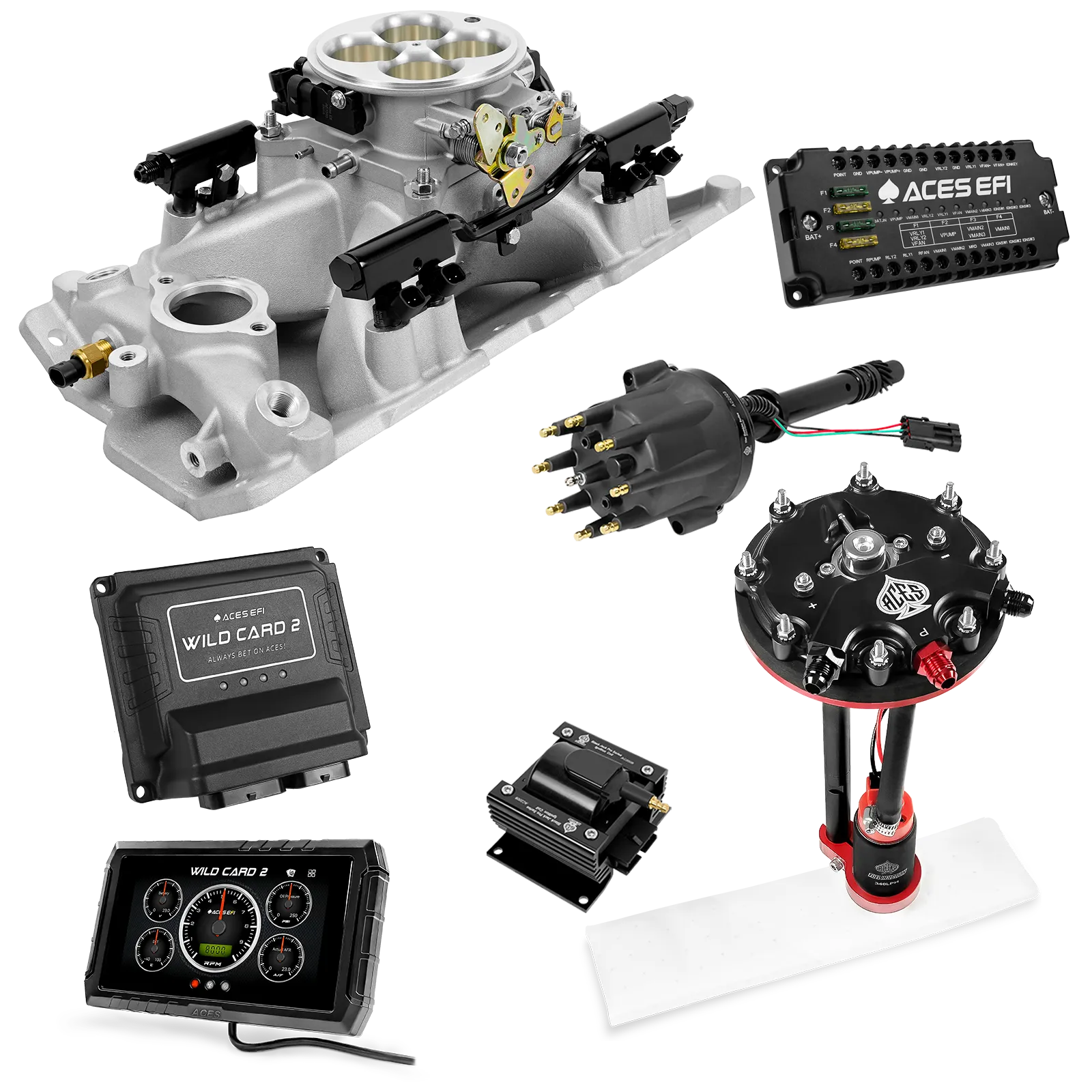 Kits maestros EFI secuenciales Wild Card 2 (800 CV)