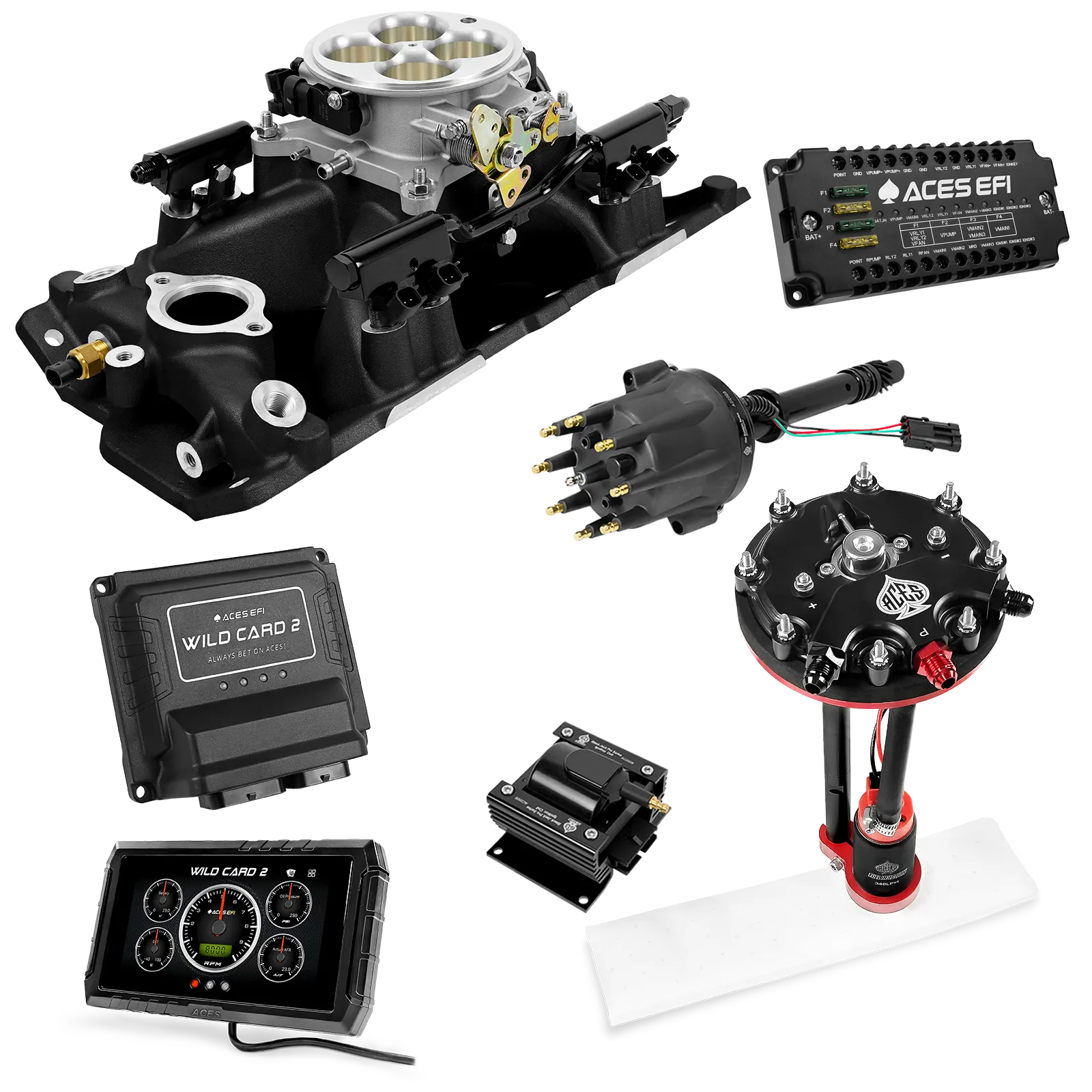 Kits maestros EFI secuenciales Wild Card 2 (800 CV)