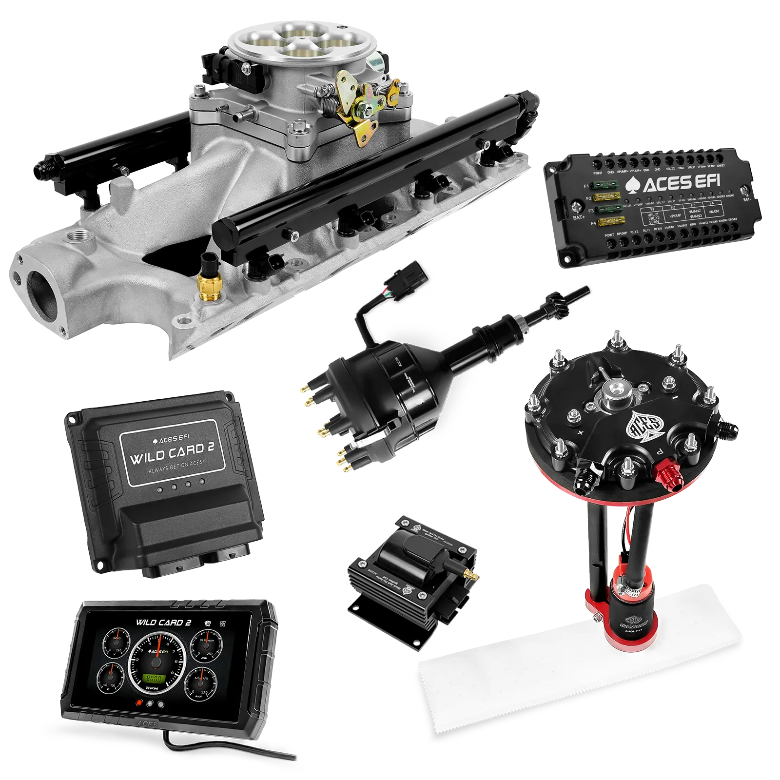 Kits maestros EFI secuenciales Wild Card 2 (800 CV)