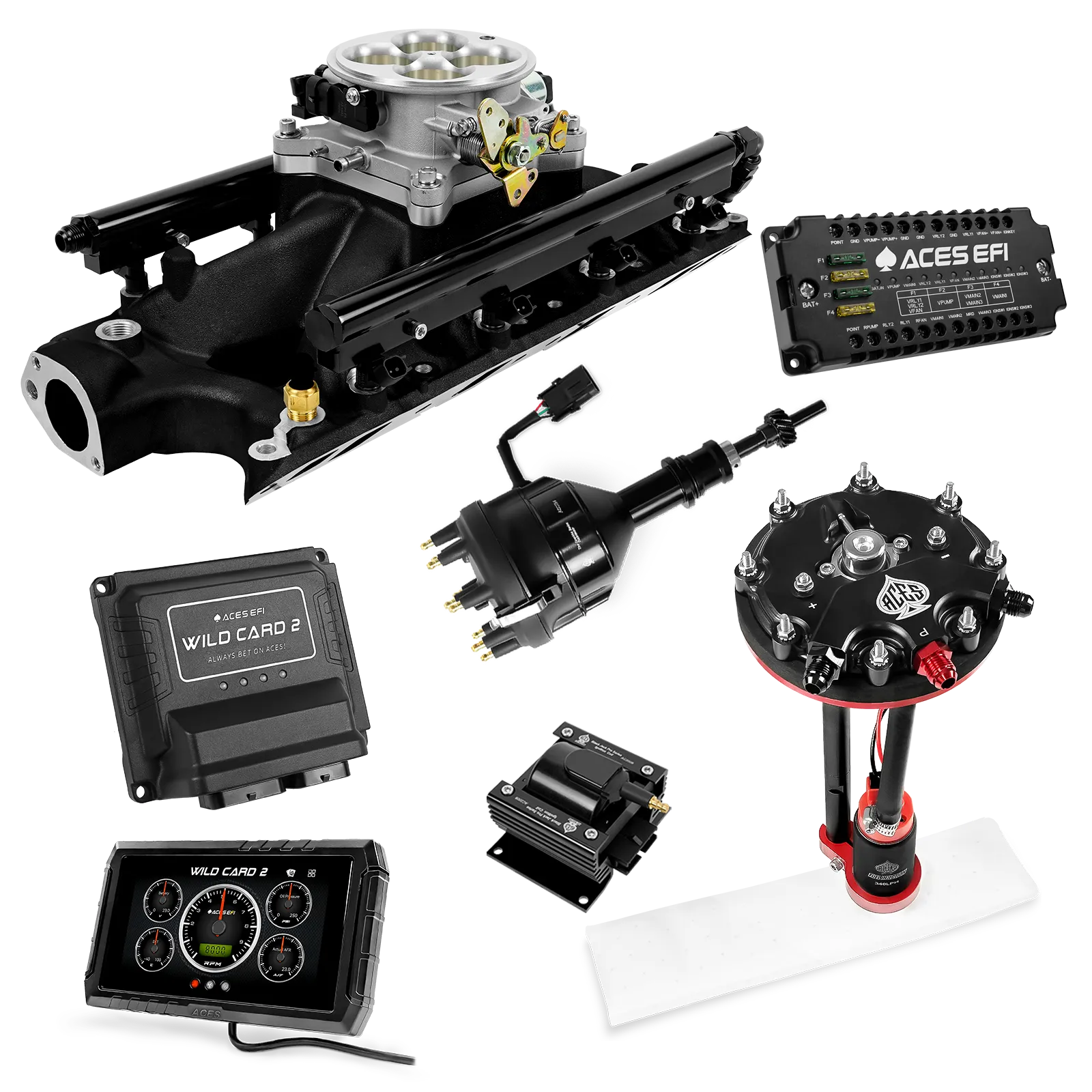 Kits maestros EFI secuenciales Wild Card 2 (800 CV)