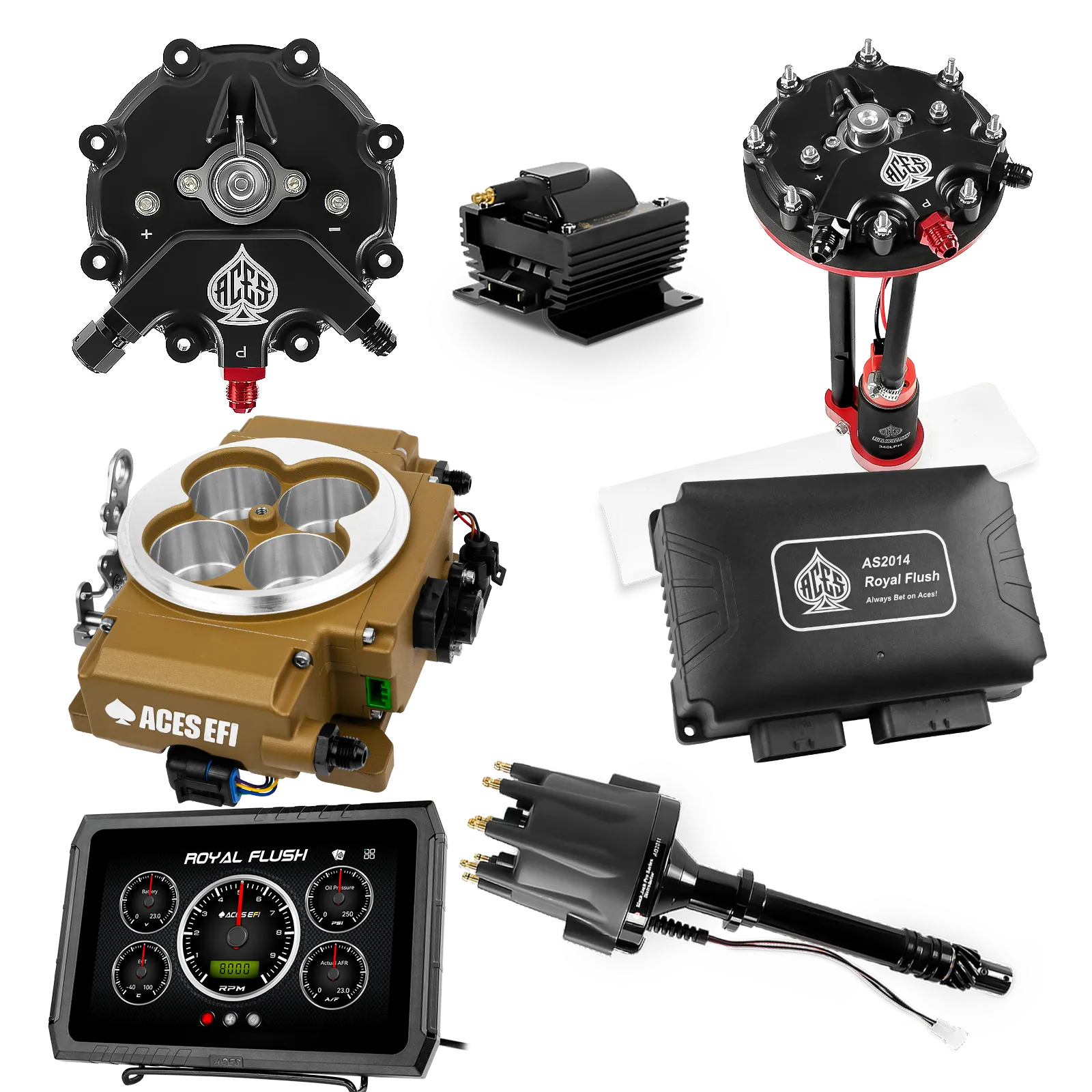 Kits maestros de Royal Flush (Oro)