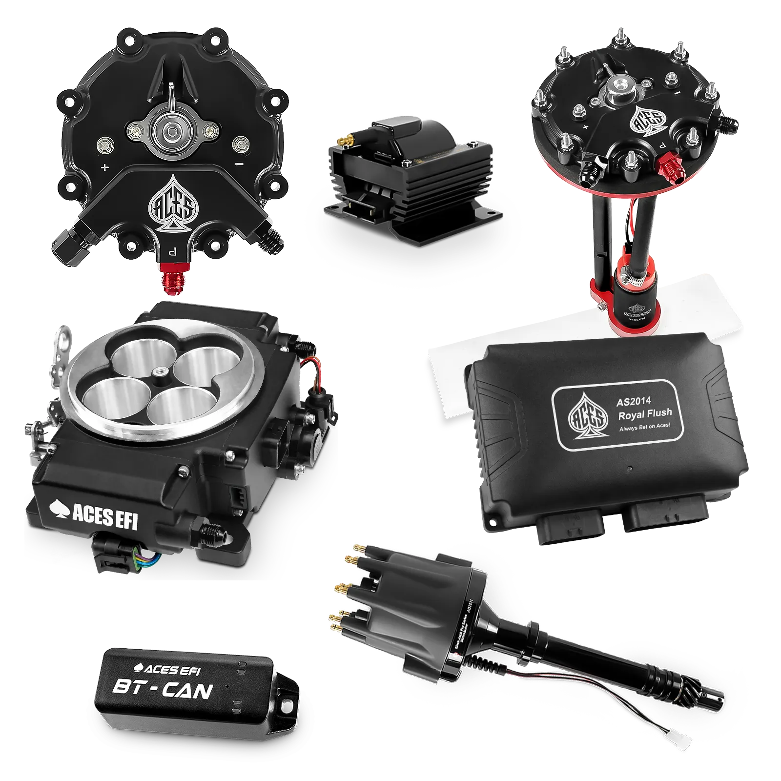 Kits maestros de Royal Flush (Negro)