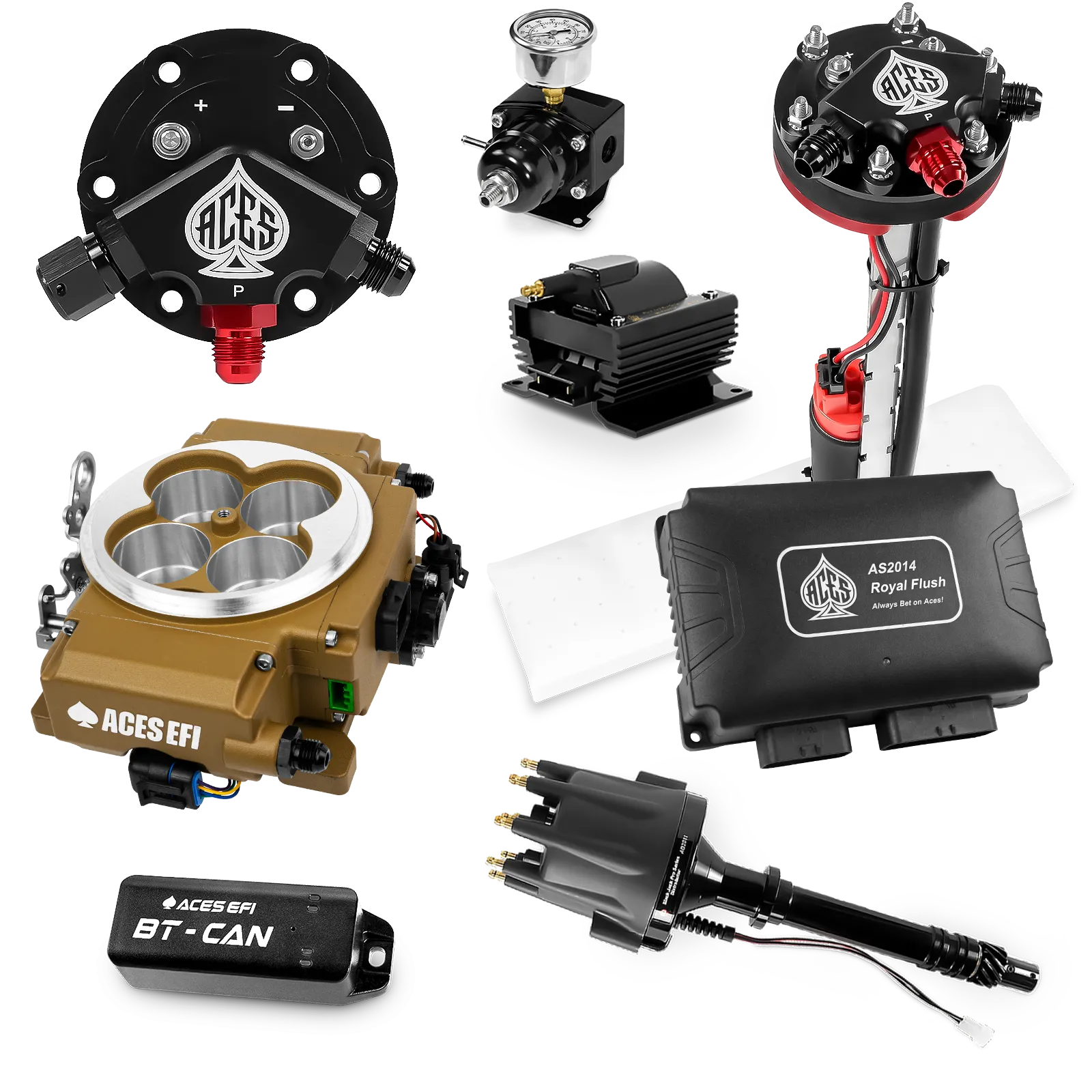 Kits maestros de Royal Flush (Oro)