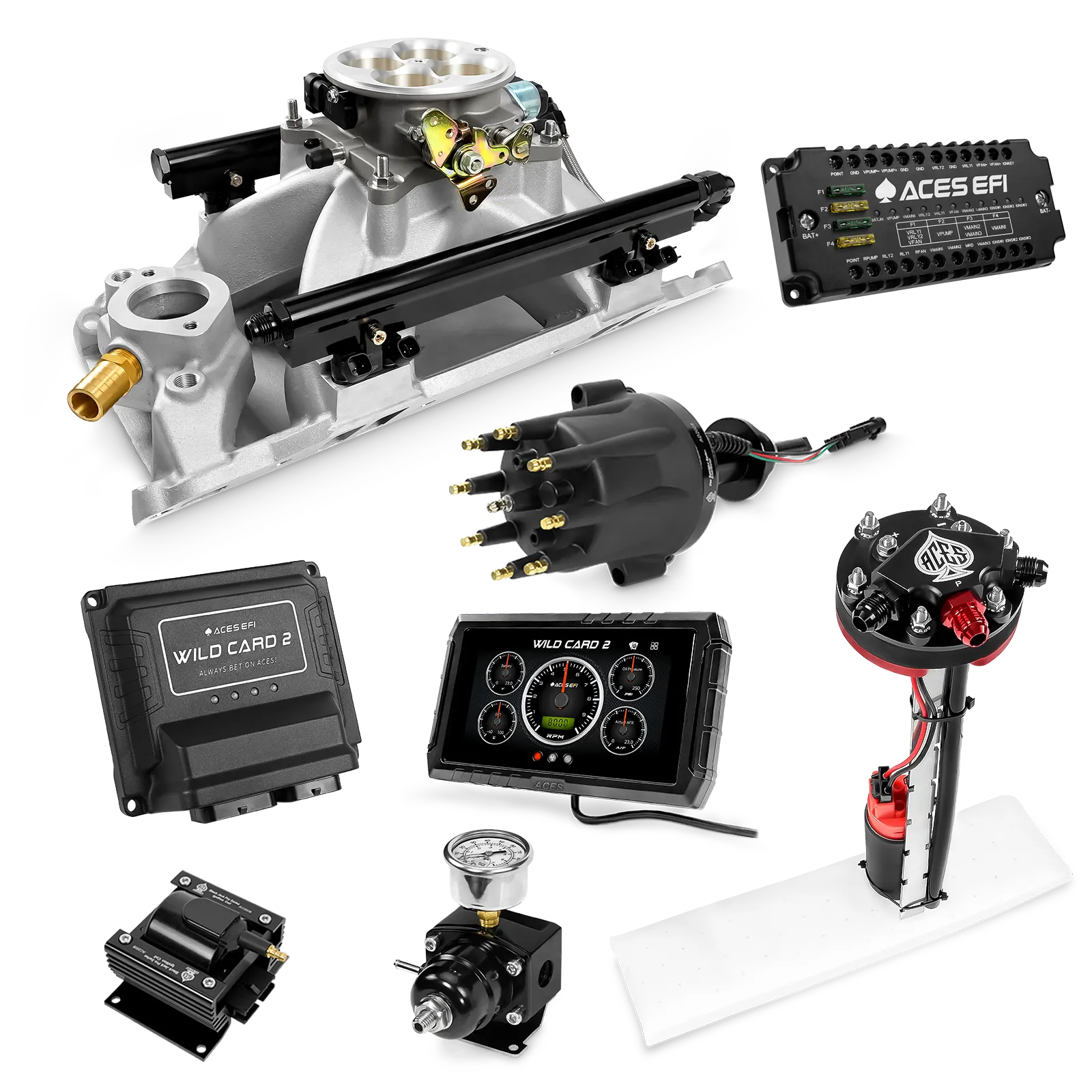 Kits maestros EFI secuenciales Wild Card 2 (800 CV)