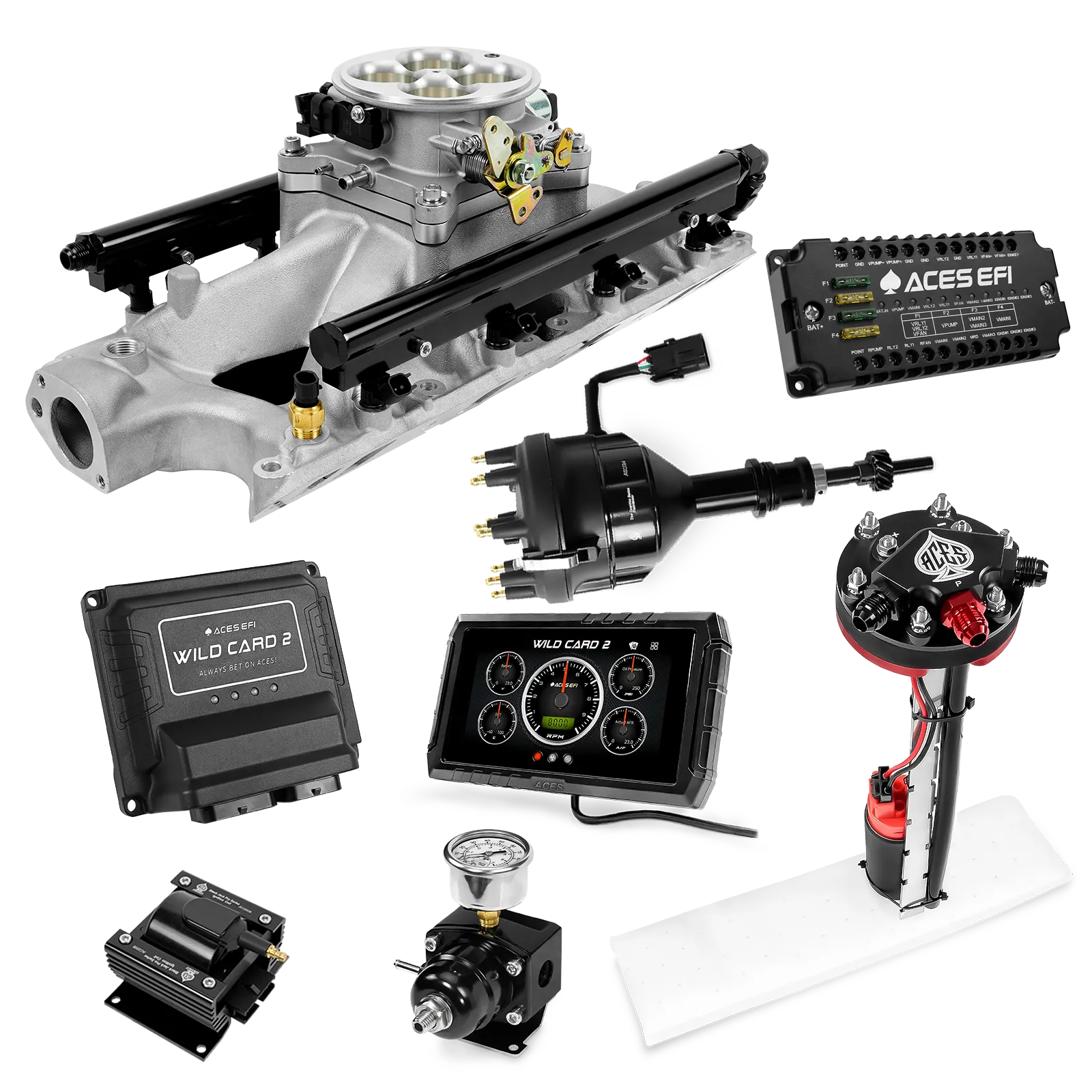 Kits maestros EFI secuenciales Wild Card 2 (800 CV)