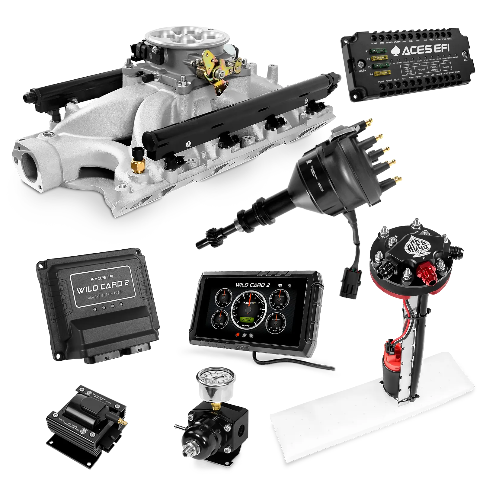 Kits maestros EFI secuenciales Wild Card 2 (800 CV)