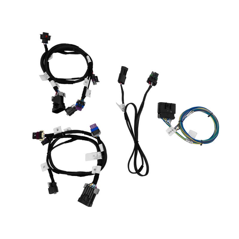 The Joker Sub-harnesses (x1)