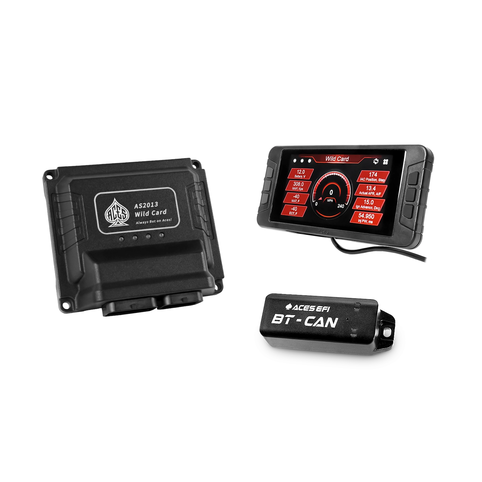 Wild Card EFI (Standalone)