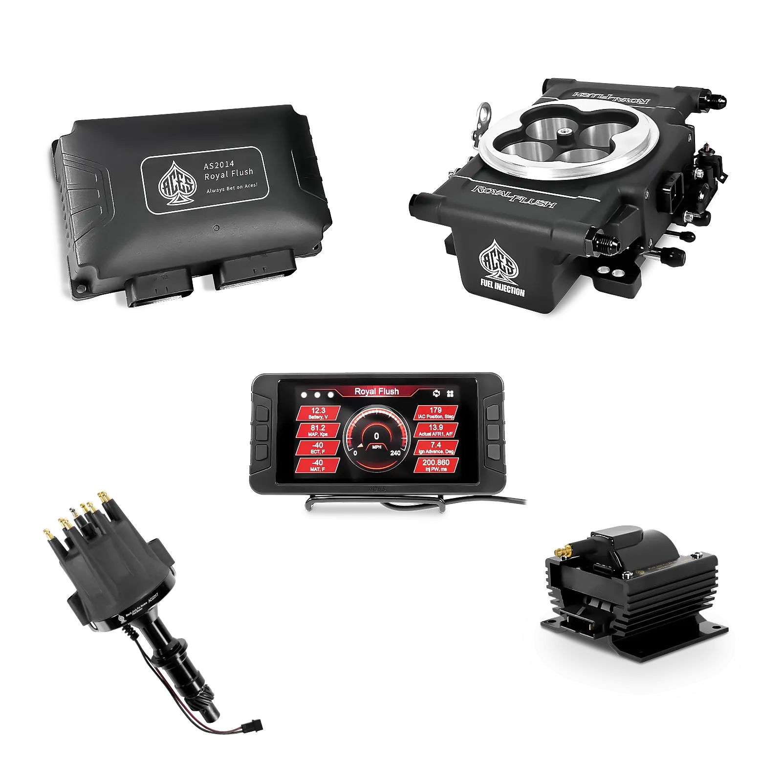 Royal Flush EFI/CDI - Top End Kit