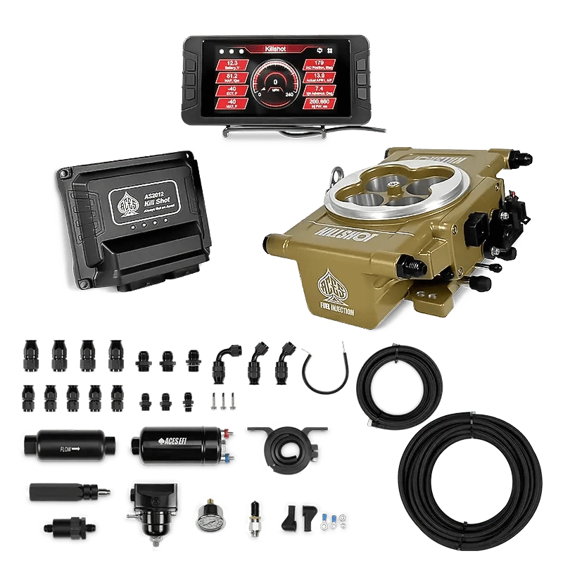 Aces Fuel Injection Gold / 255 In-line Fuel System w/40' PTFE Hose Killshot 4-BBl EFI Fuel Kits