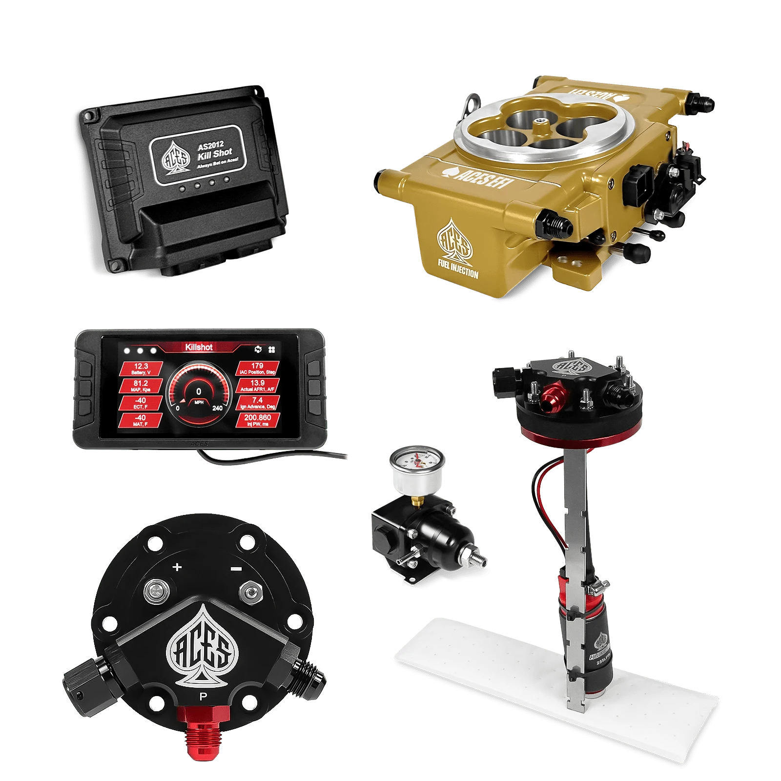 Aces Fuel Injection Gold / Tight Fit In-tank Pump Module (255 LPH) Killshot 4-BBl EFI Fuel Kits