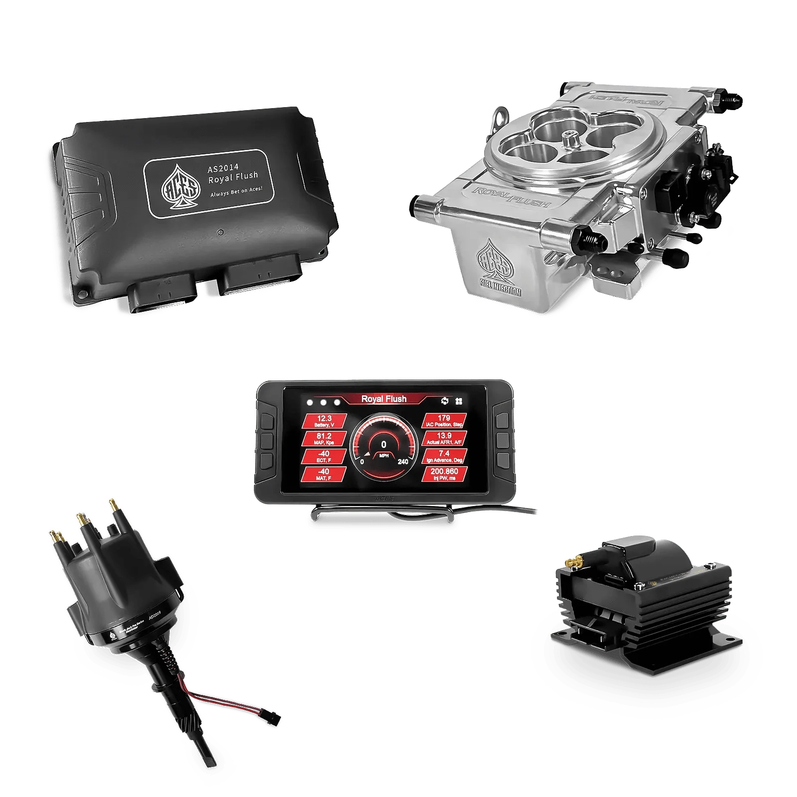 Aces Fuel Injection Polished / AMC/Jeep 232-258 6 Cylinder Royal Flush EFI/CDI - Top End Kit