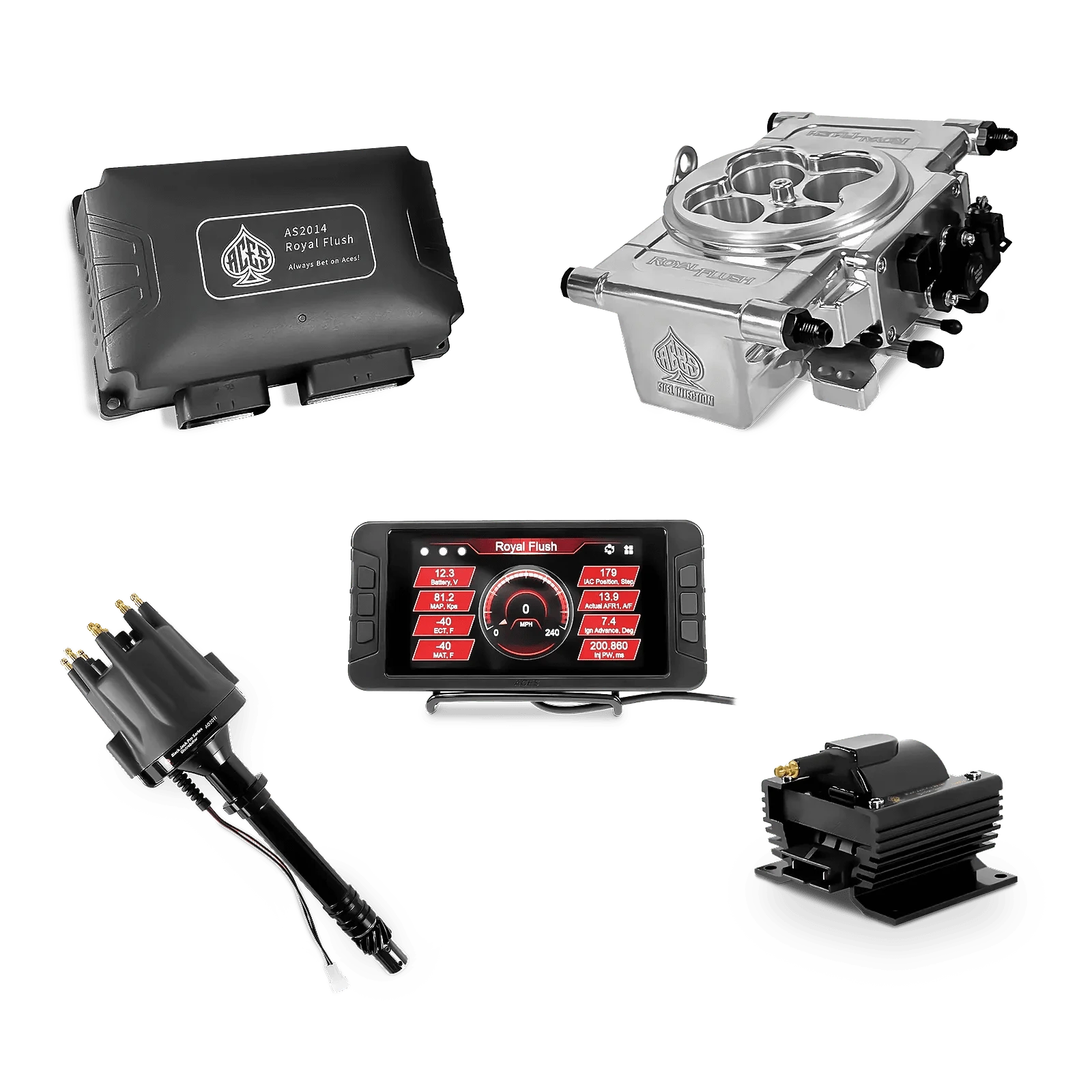 Aces Fuel Injection Polished / SBC/BBC Royal Flush EFI/CDI - Top End Kit